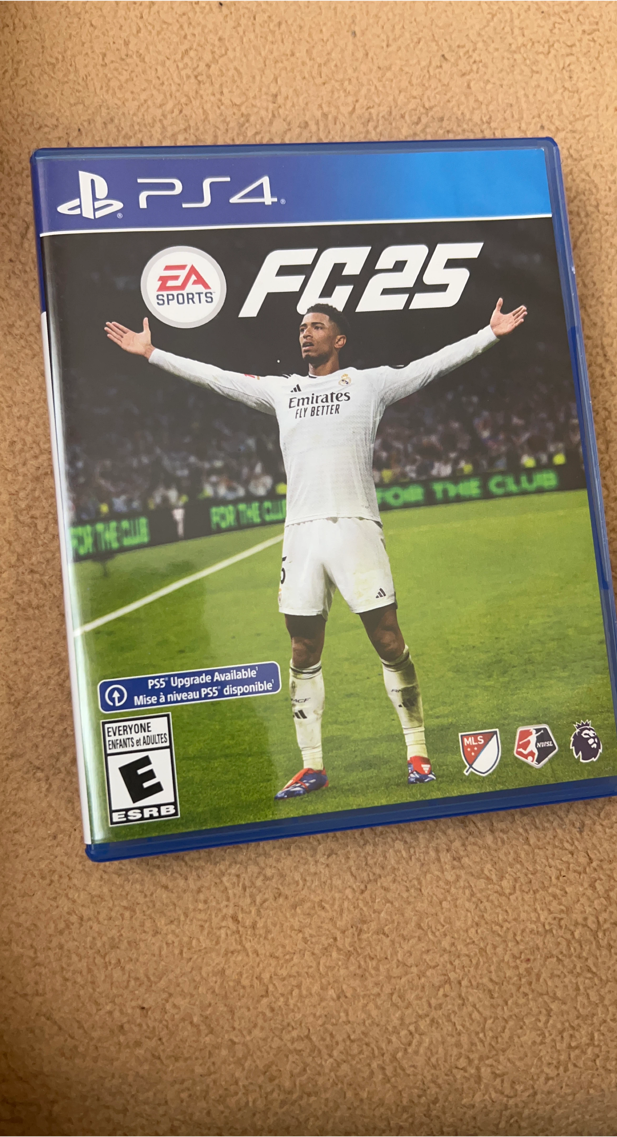 EA Sports FC 25 PS4 Game