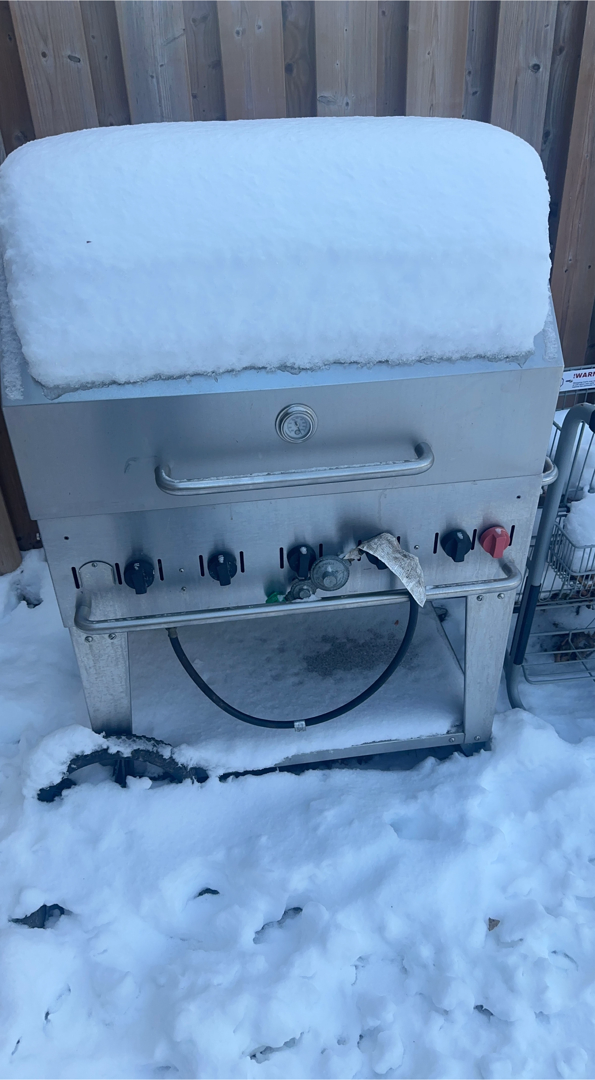 Crown Verity BBQ Grill🥕