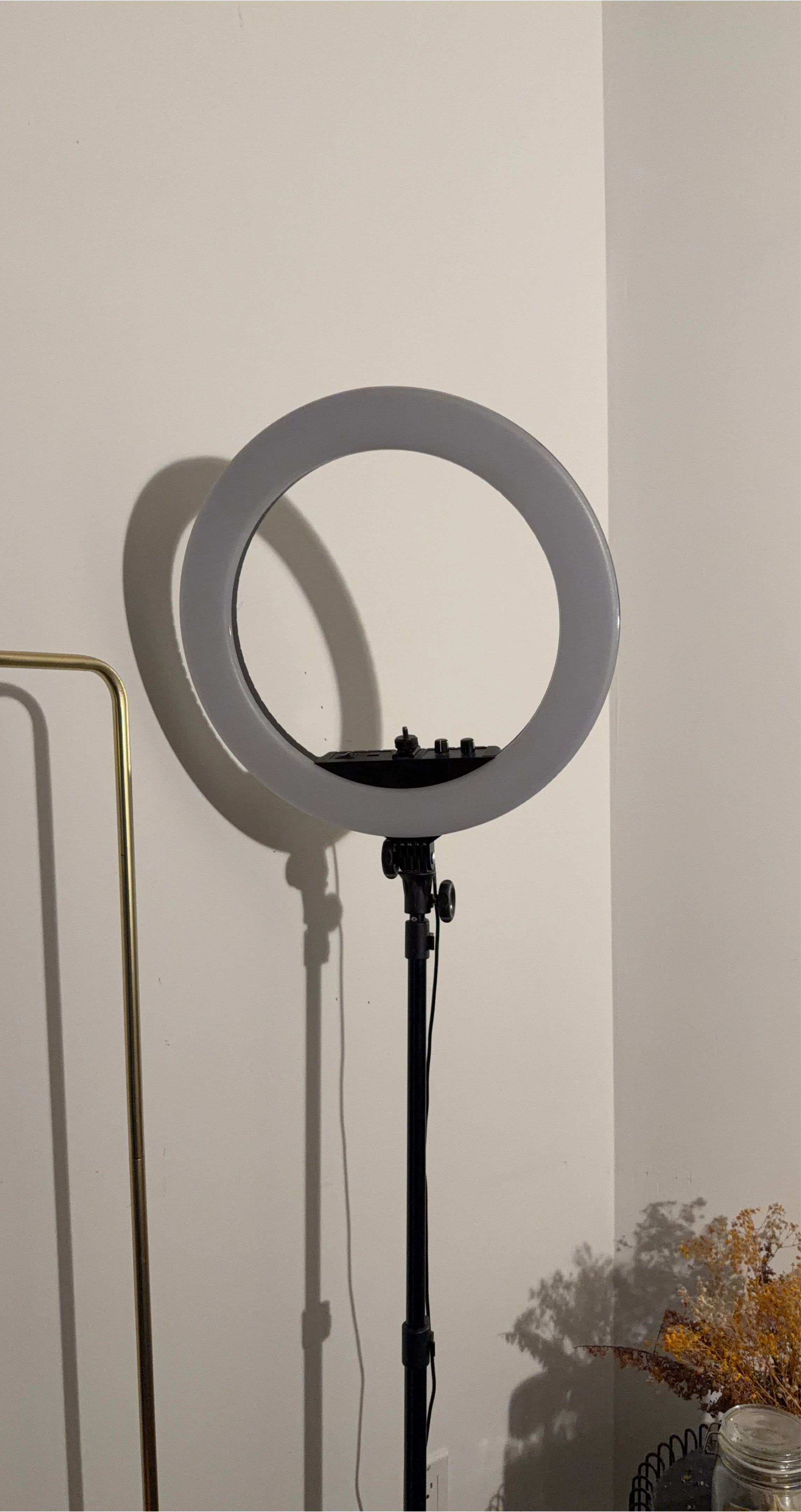 Large Ring Light with Stand
