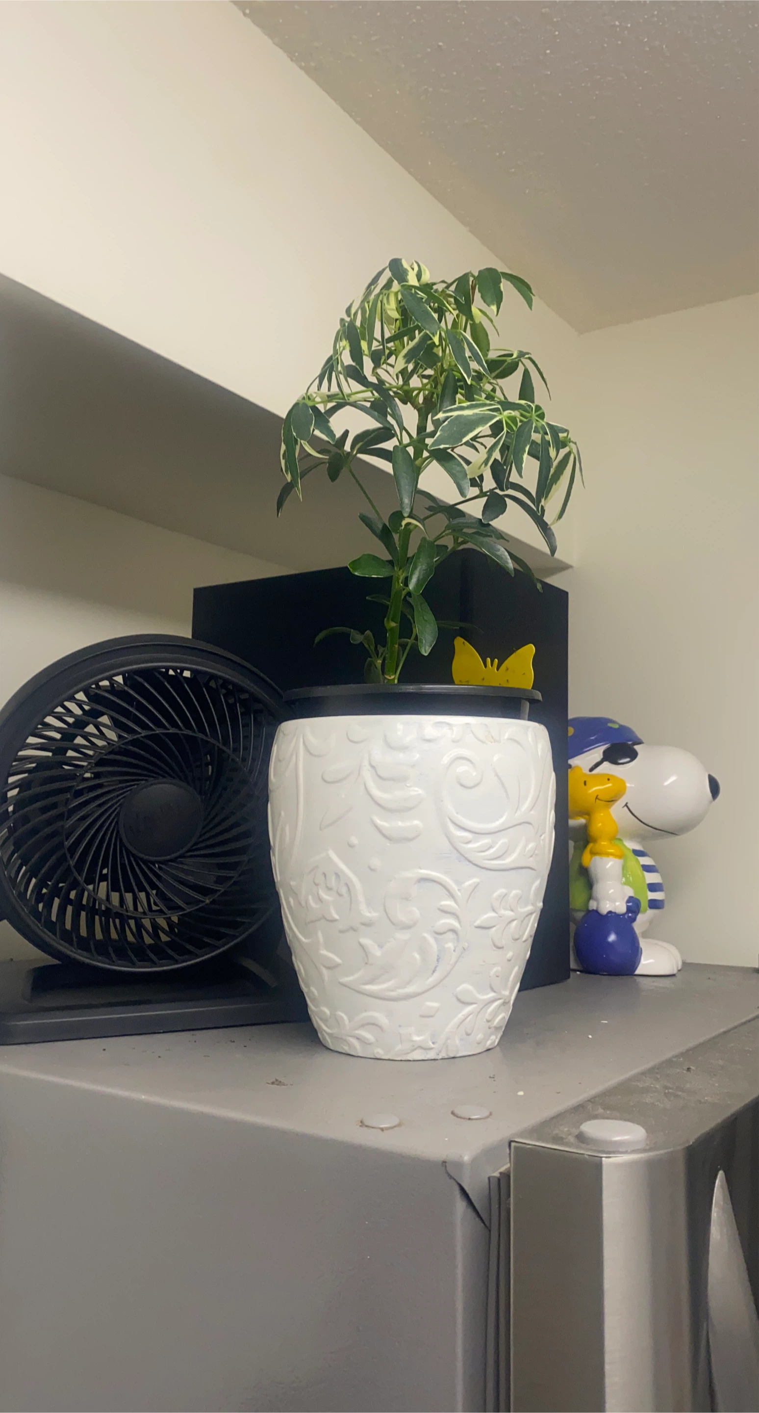 White Embossed Plant Pot