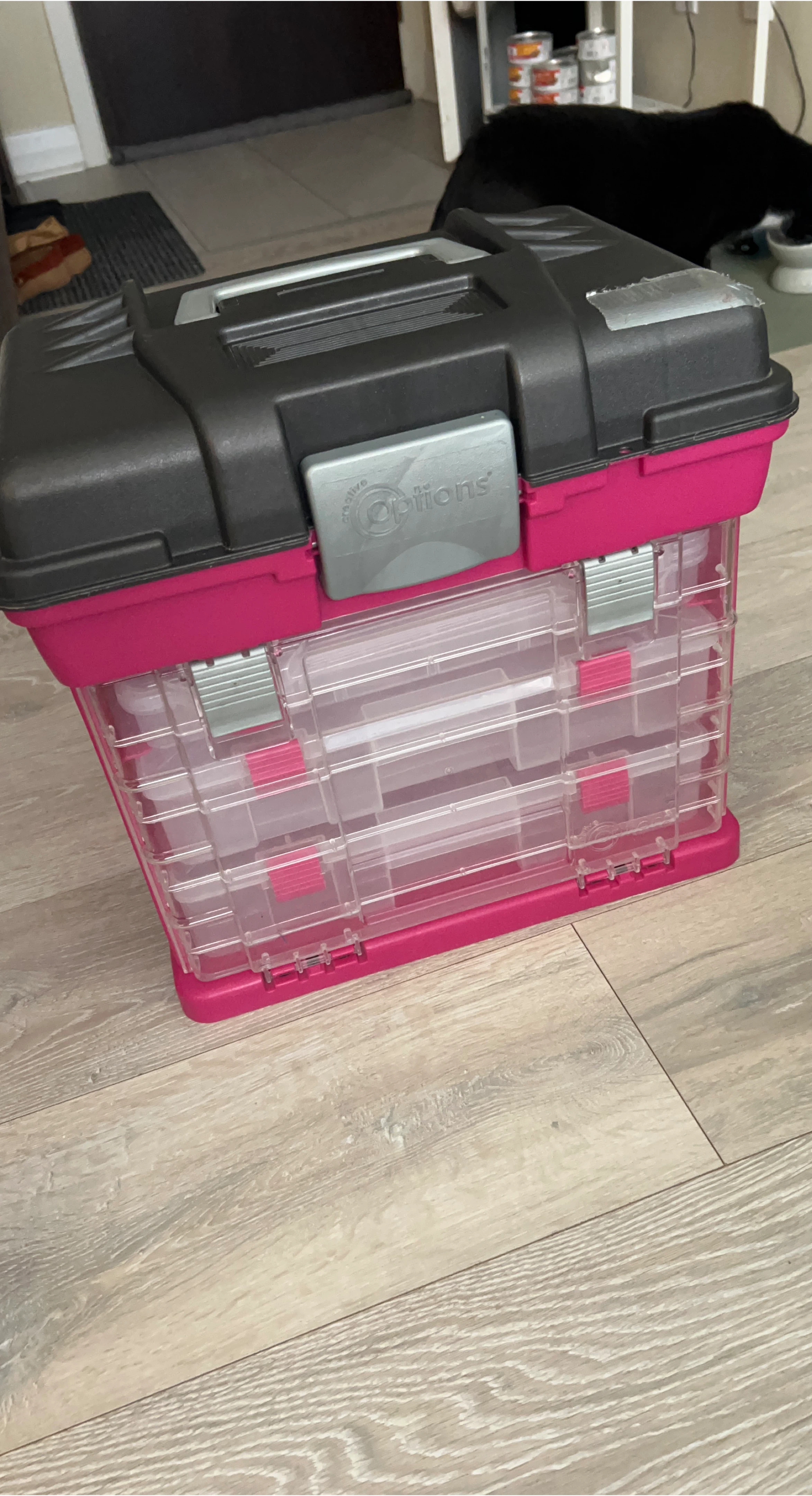 Creative Options Pink & Black Organizer | Crafts, Fishing, etc