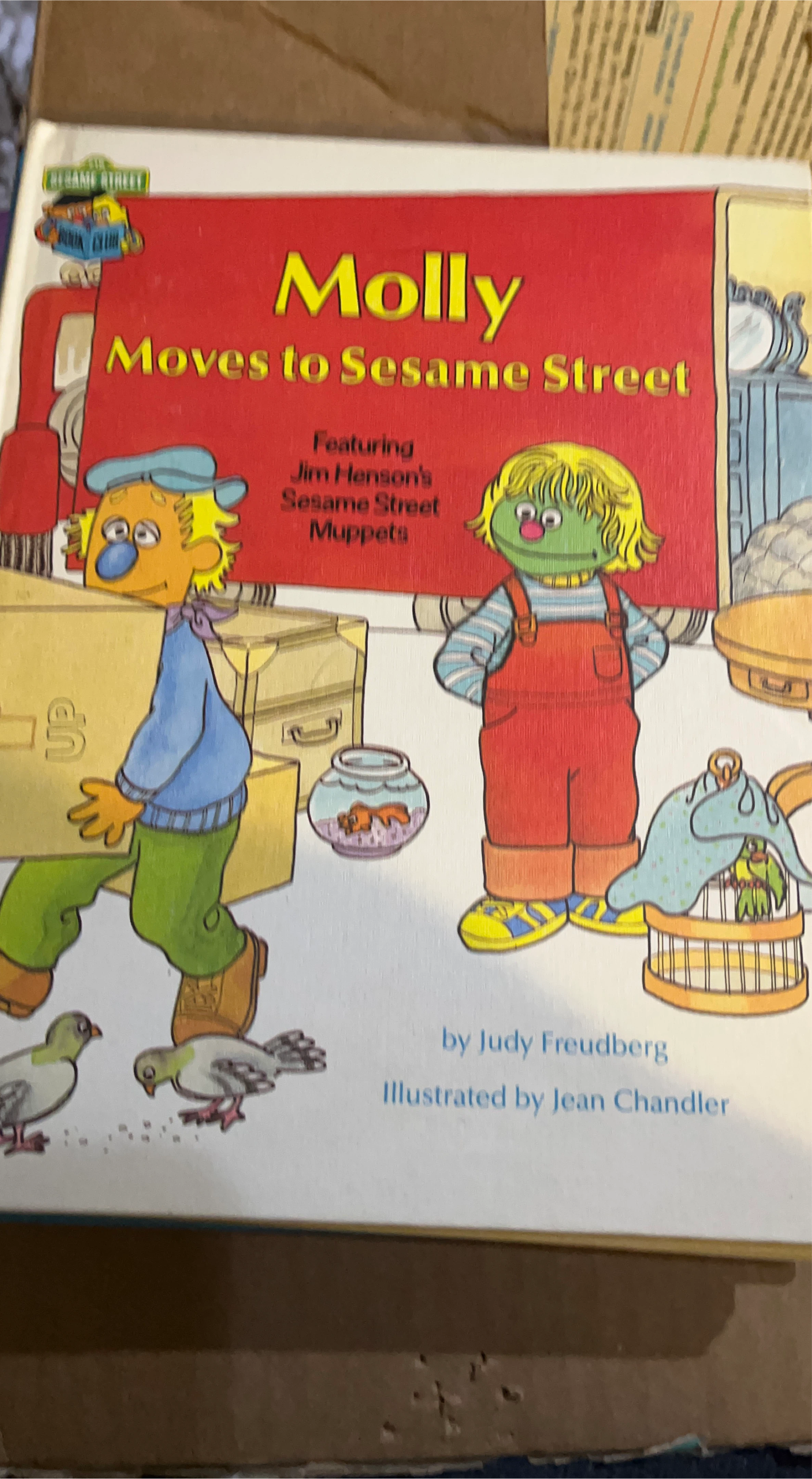 Molly Moves to Sesame Street Book