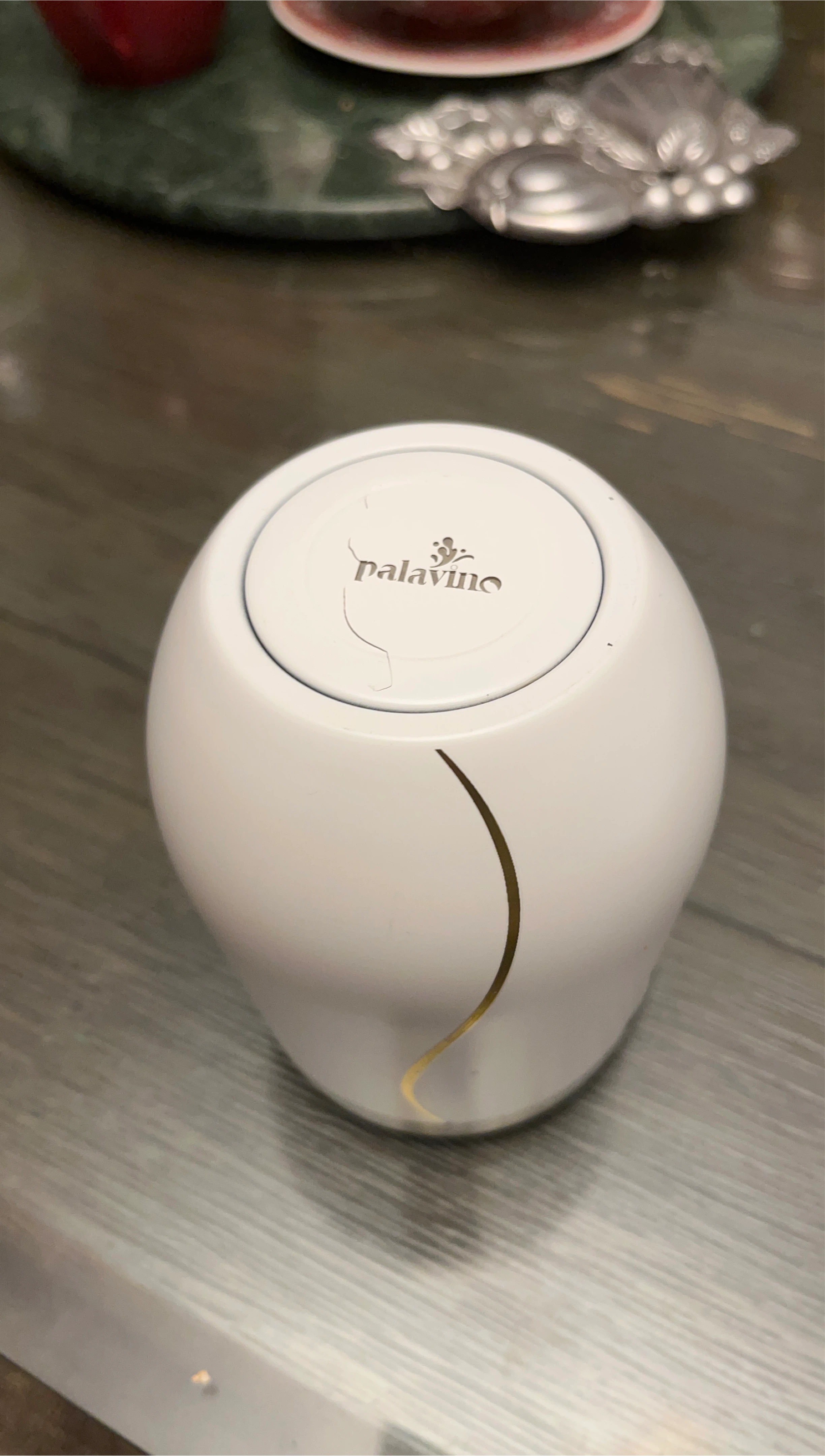 Palavino Wine Preserver