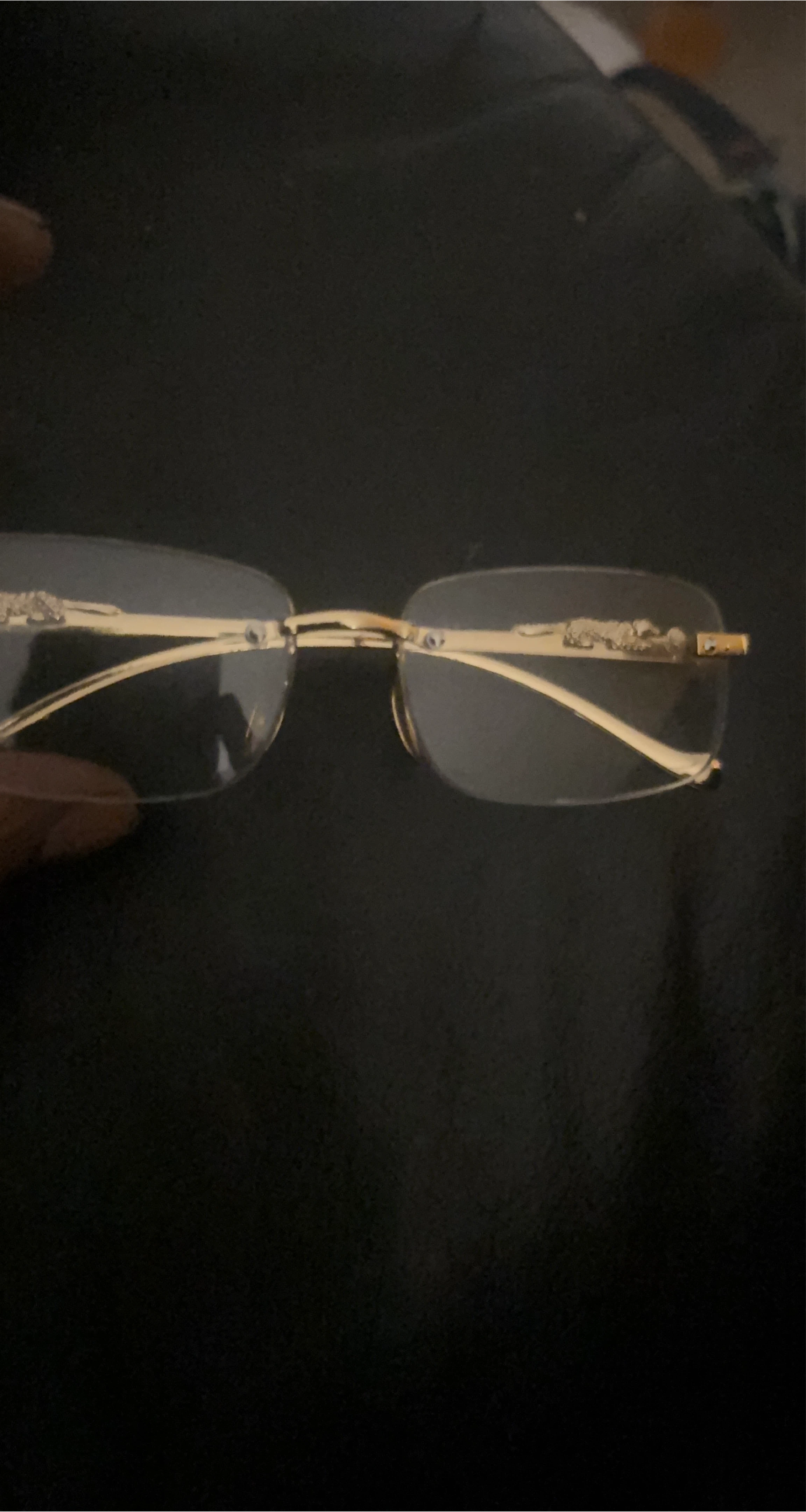 Gold Rimless Glasses with Jaguar Detail