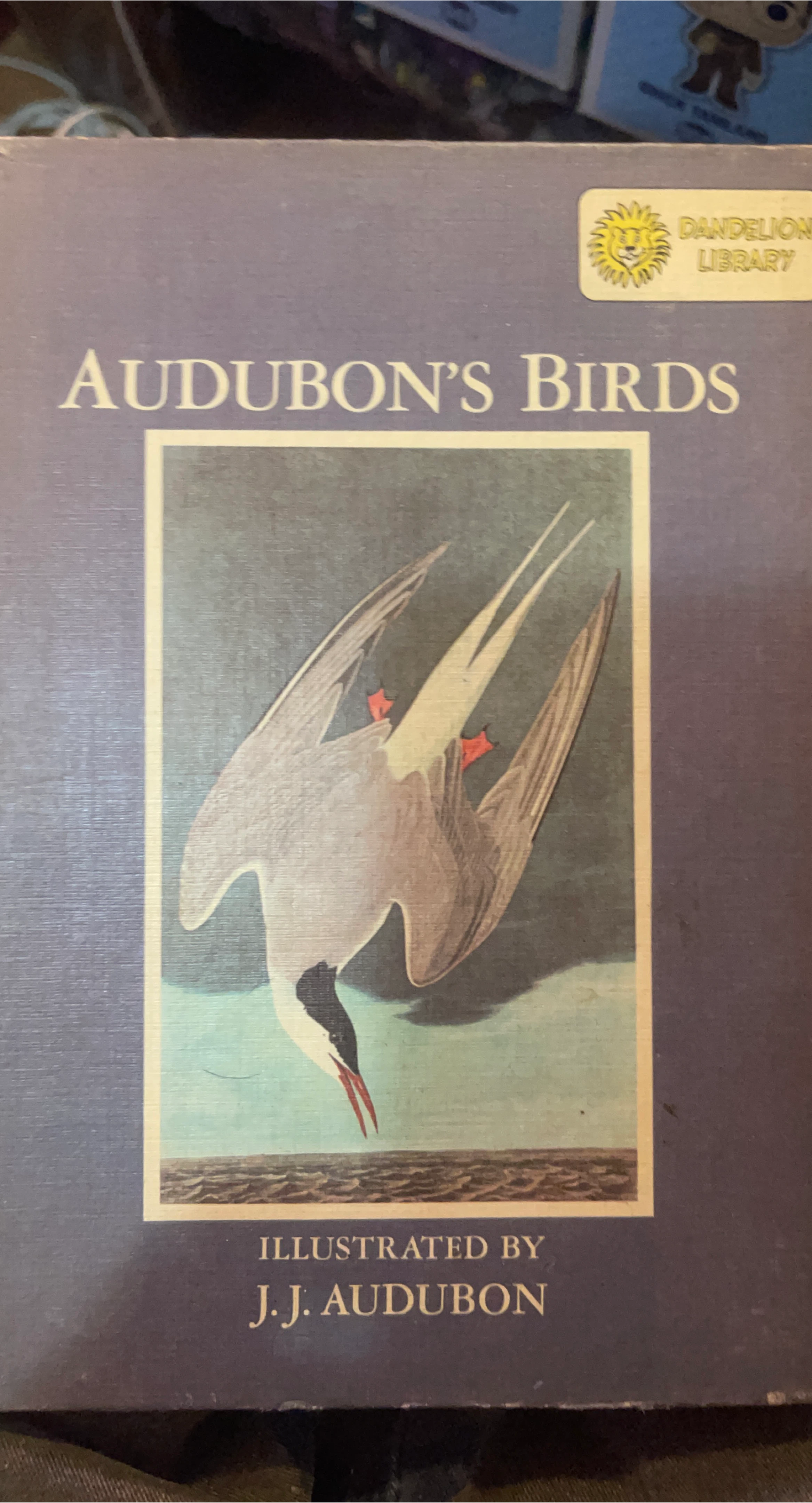 Audubon's Birds Illustrated by J.J. Audubon
