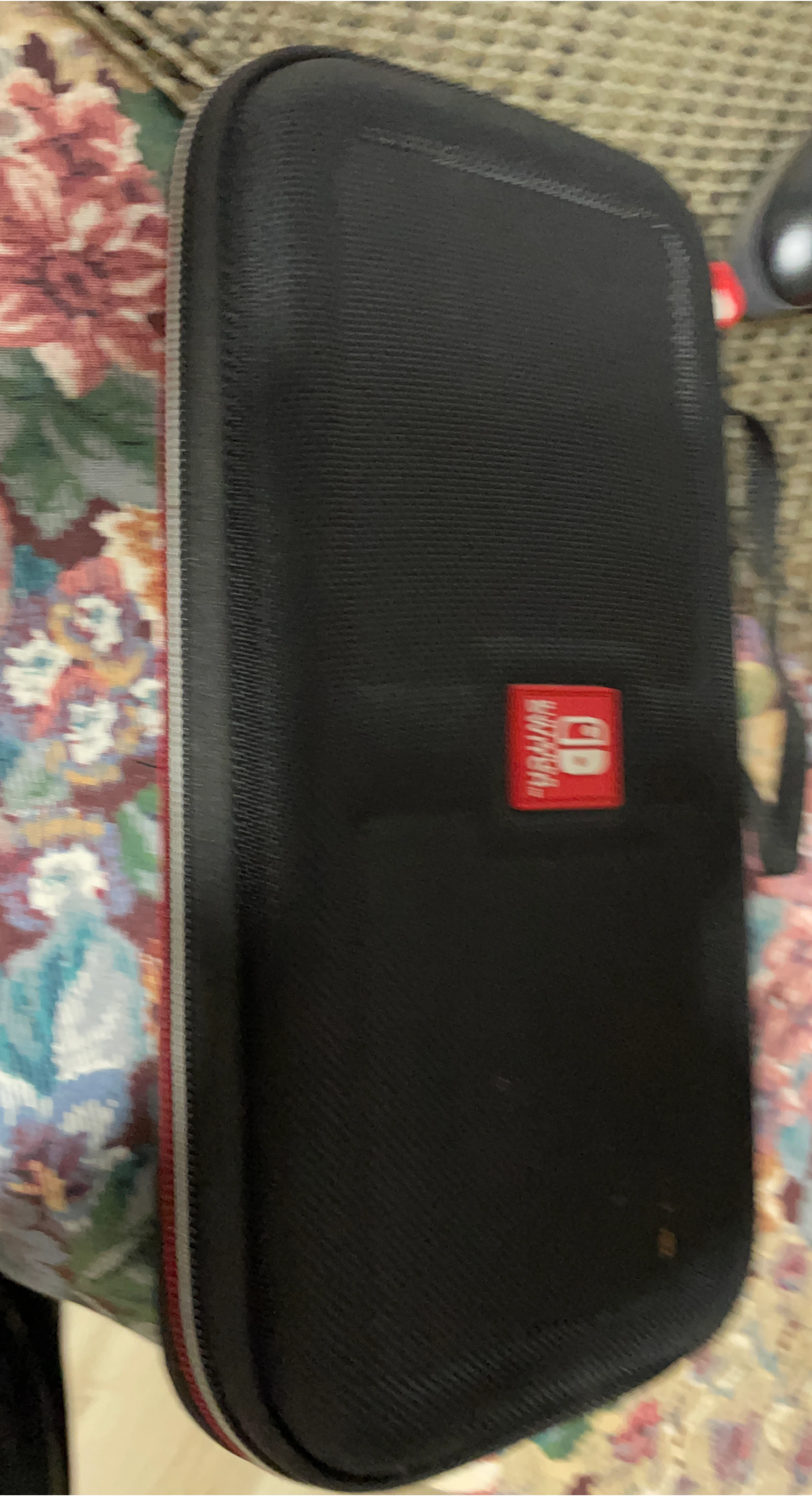 Nintendo Switch Carrying Case