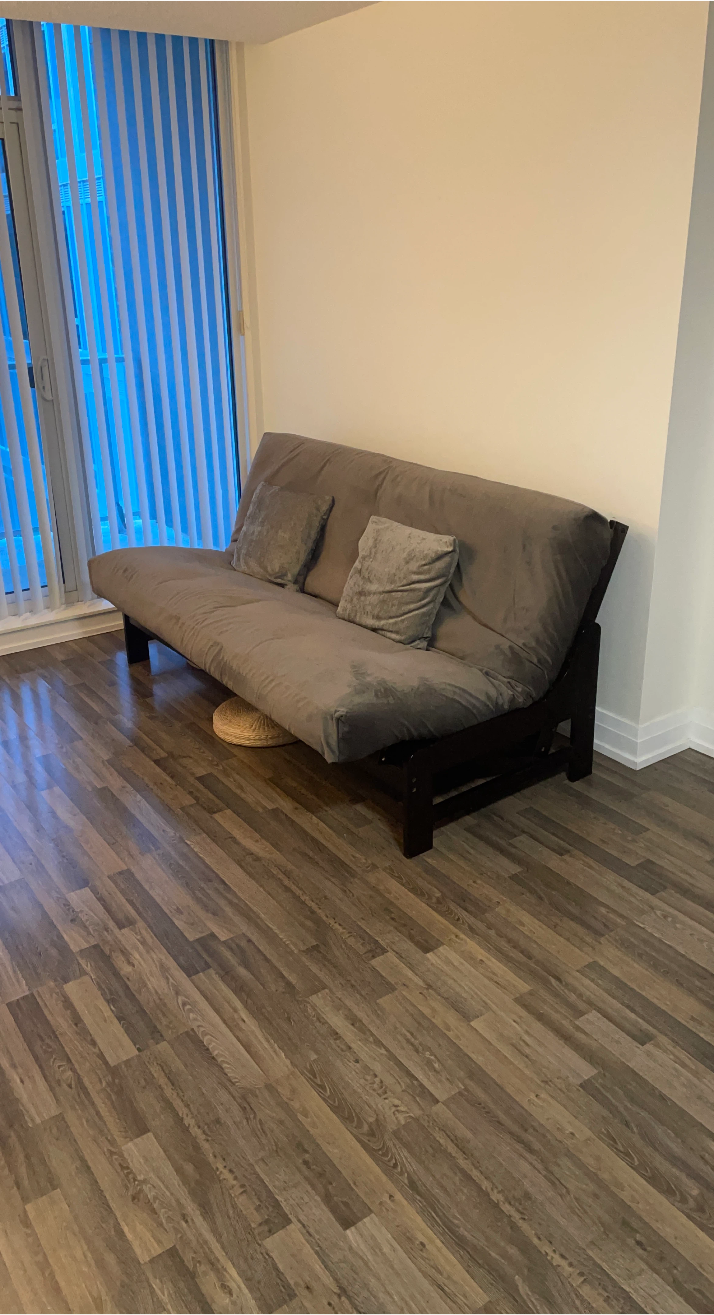 Futon Sofa-Bed (with all accessories)