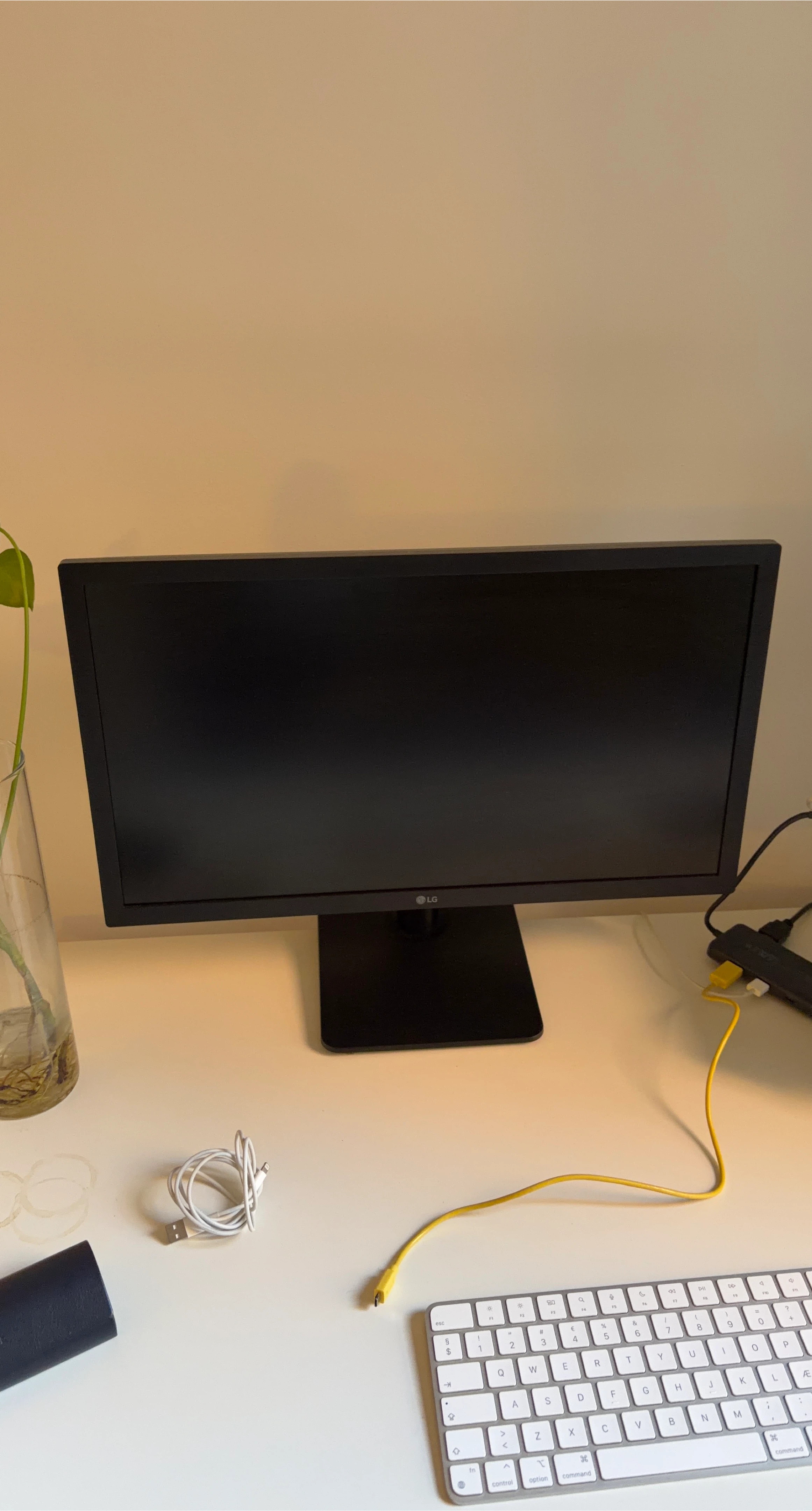 23 inch LG Monitor