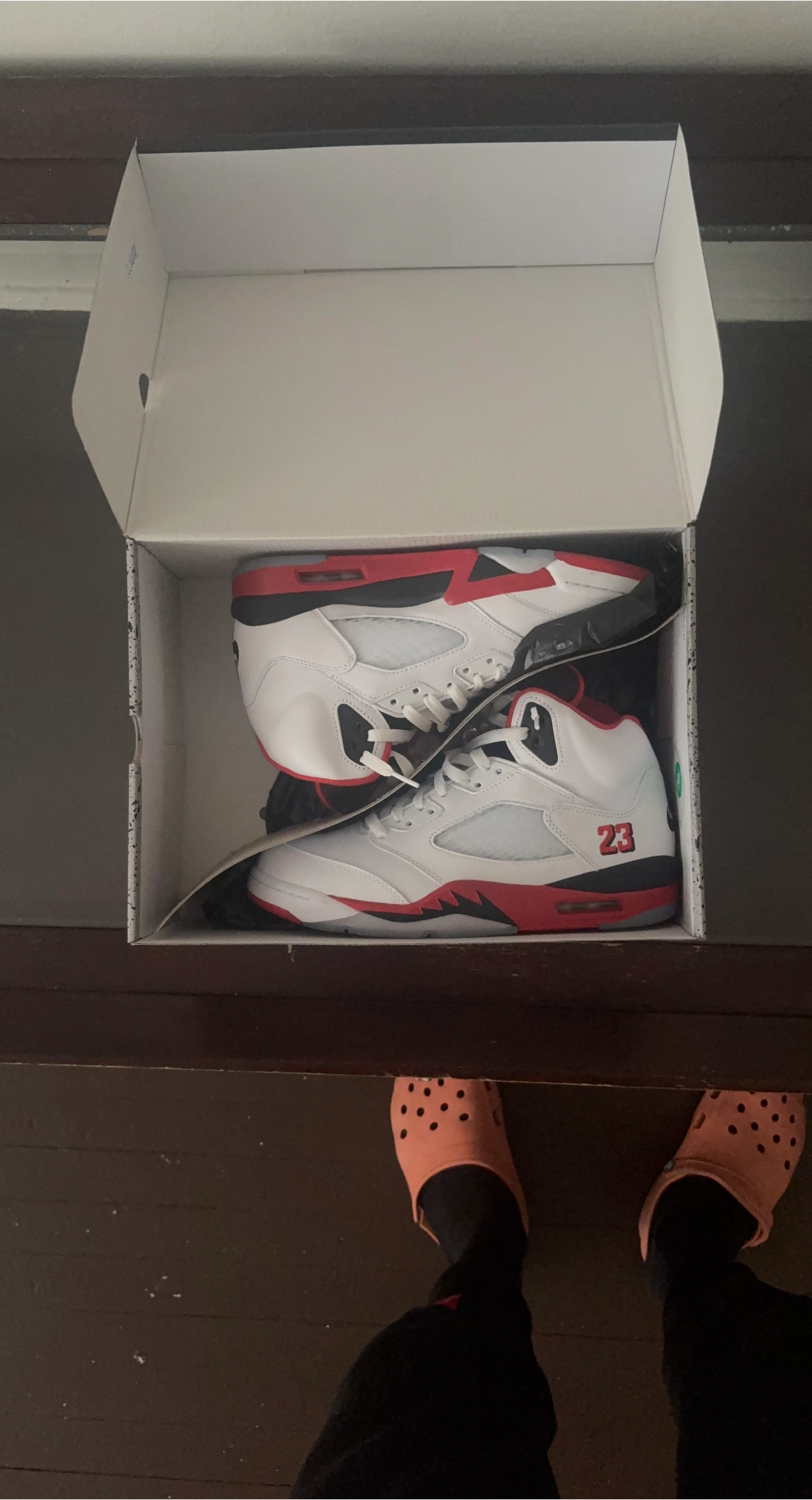 Air Jordan 5 Retro "Alternate Grape"
