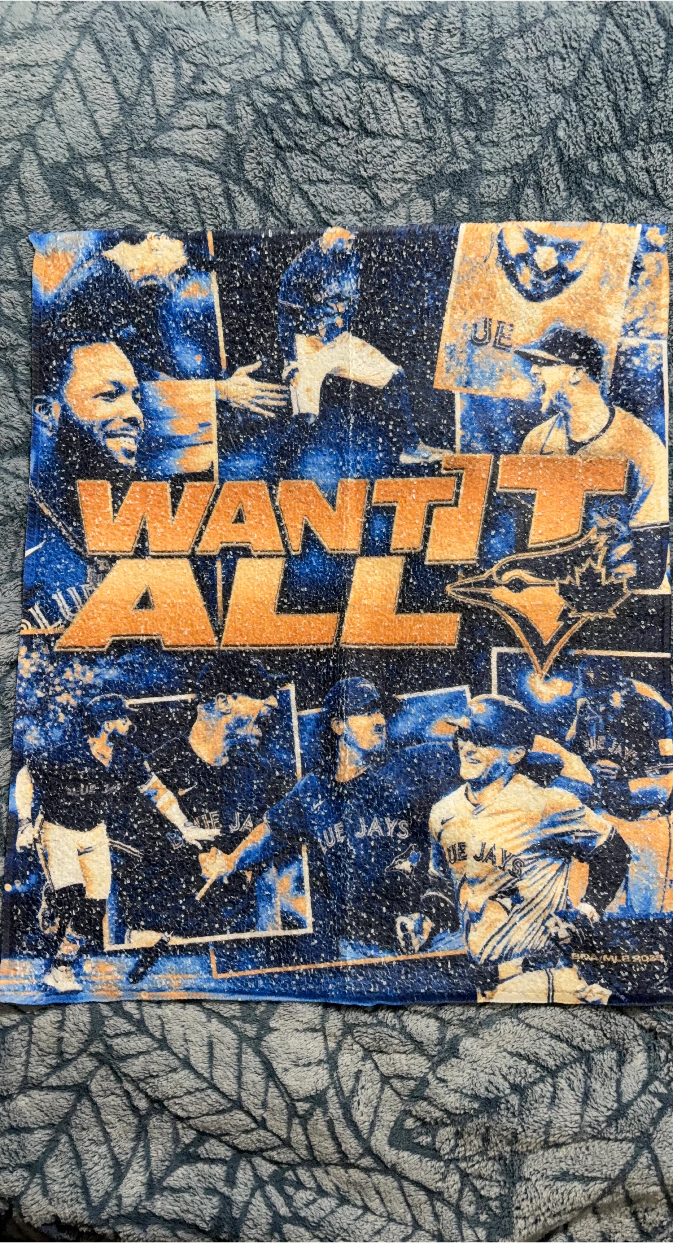 Toronto Blue Jays "Want It All" Small Baseball Towel