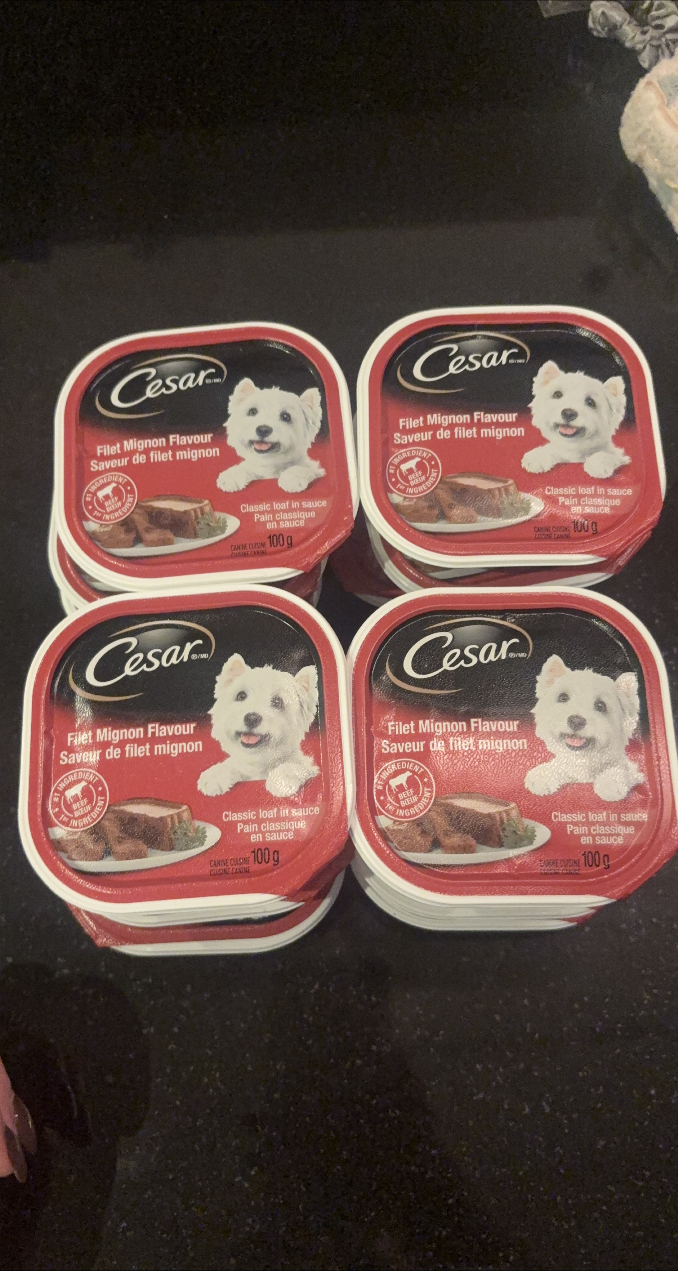 Cesar Filet Mignon Flavour Dog Food (12 x 100g)