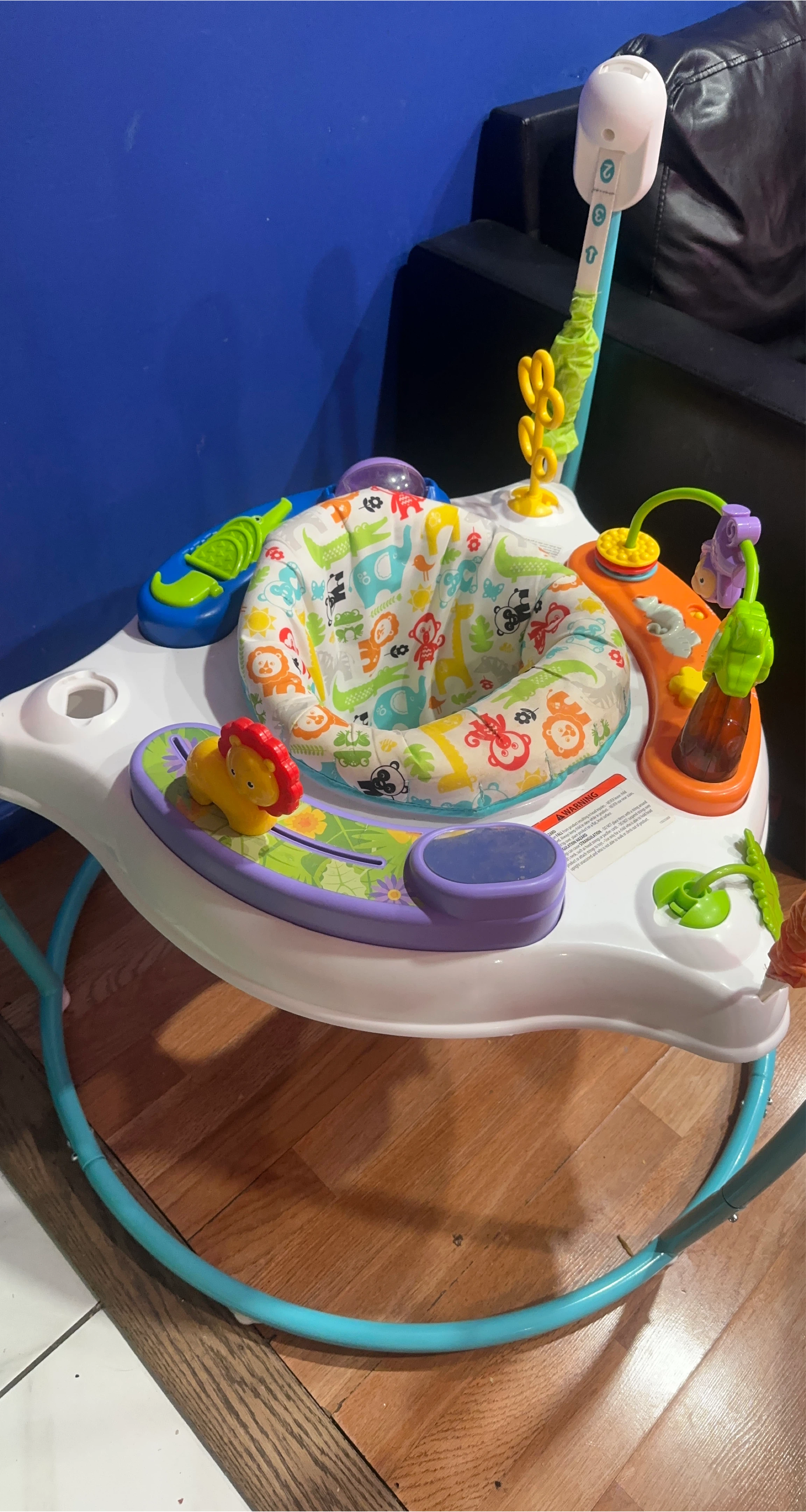Fisher-Price Jumperoo Infant Activity Center