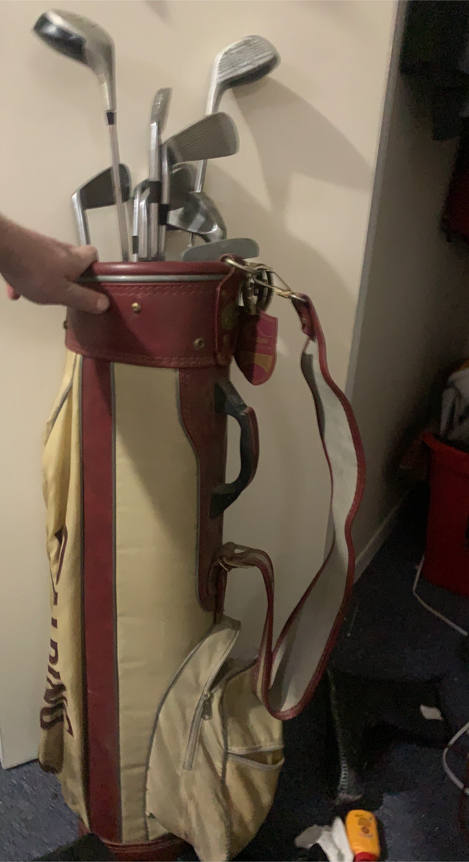 Vintage Golf Bag with Clubs