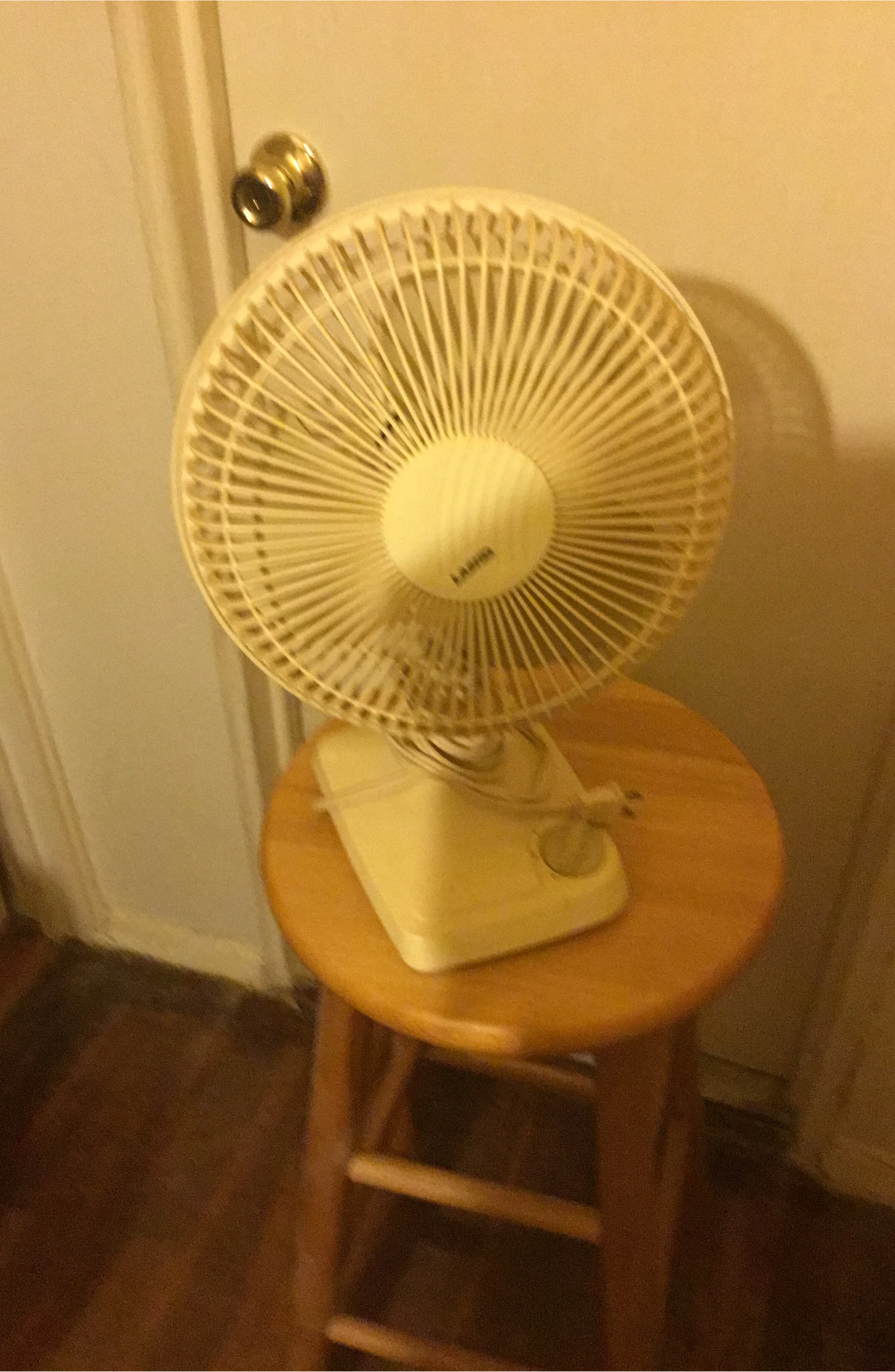 Cream Fan