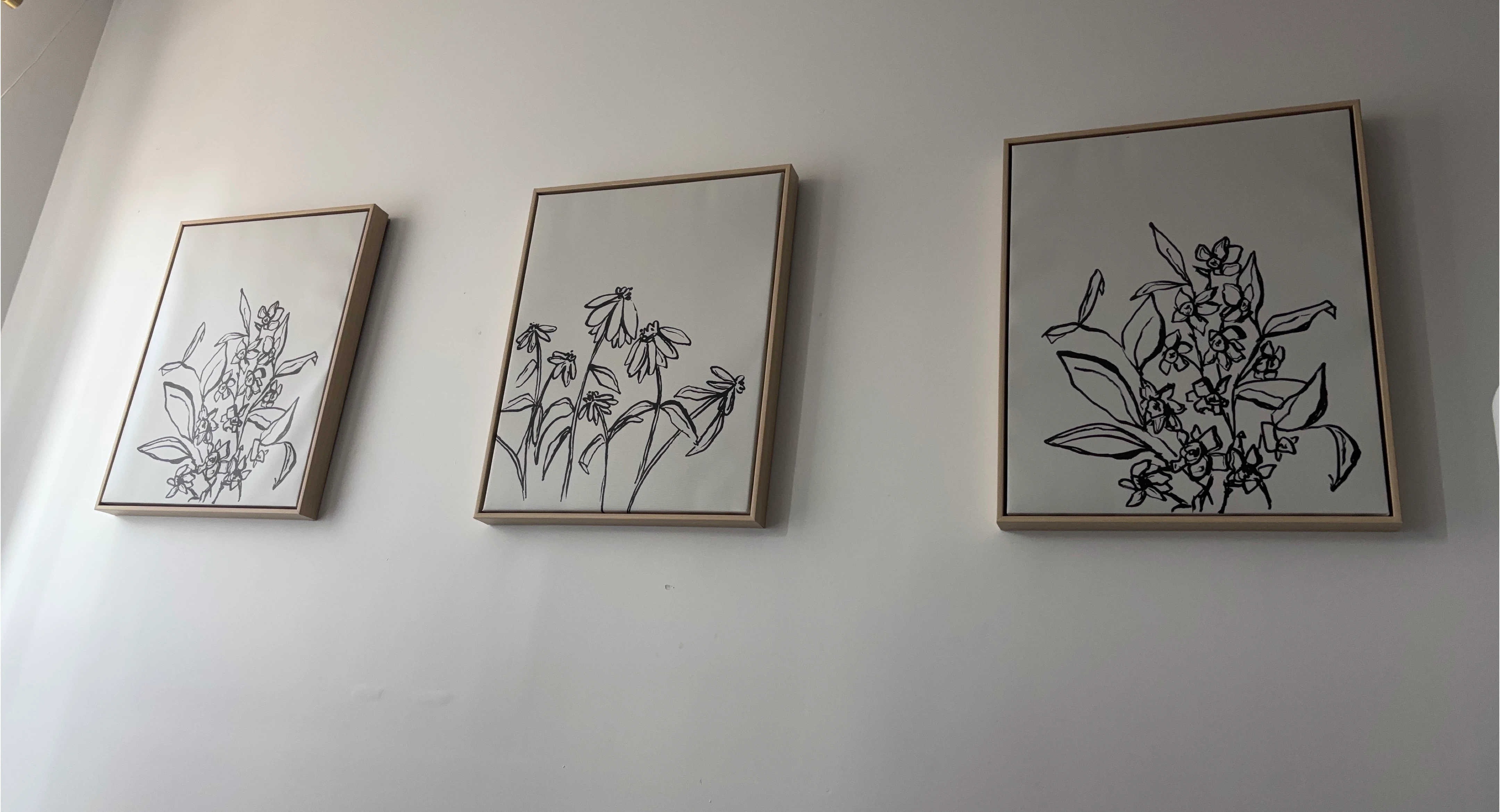 Set of 3 Framed Floral Line Art Prints
