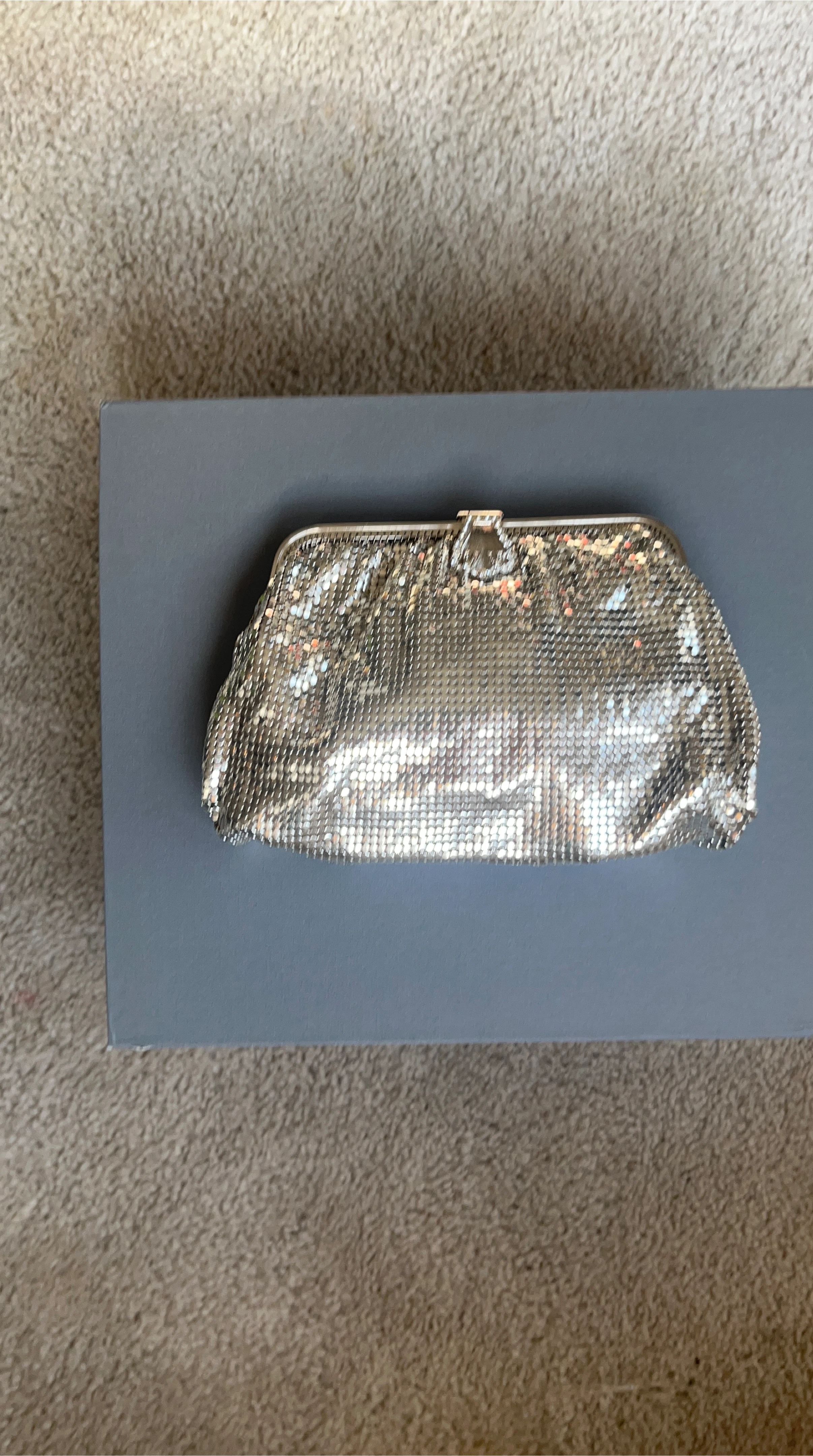 Silver Mesh Clutch Evening Bag