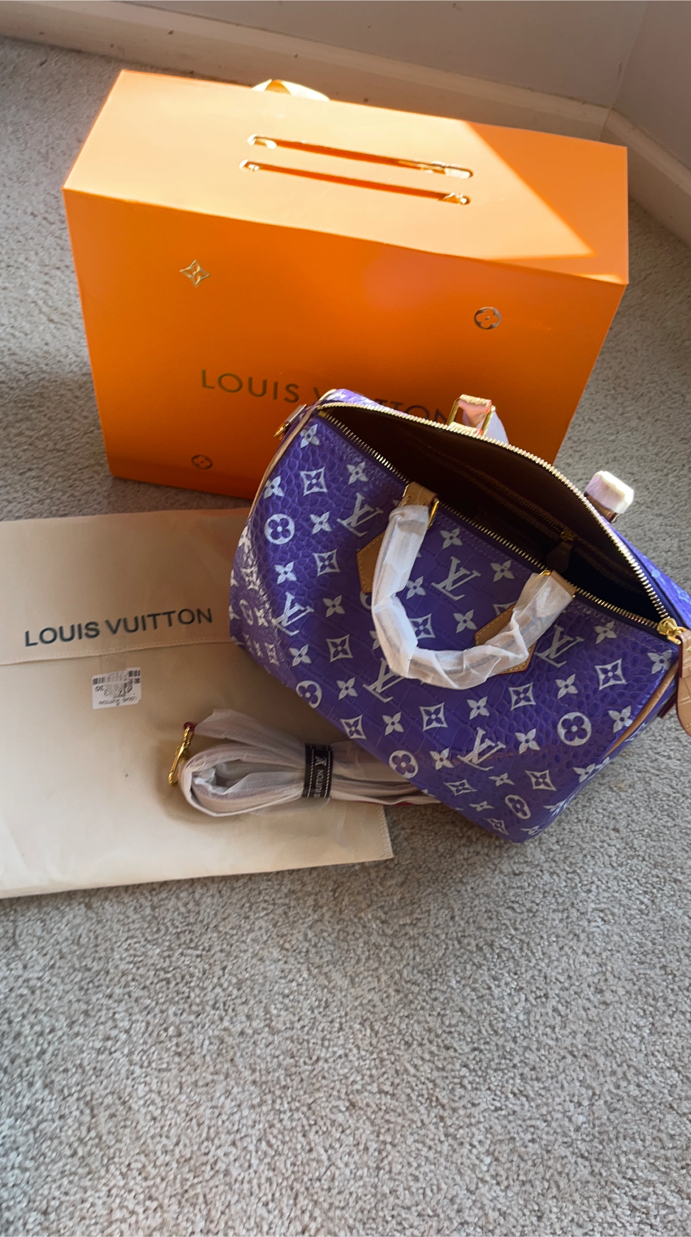 Louis Vuitton Speedy Bag