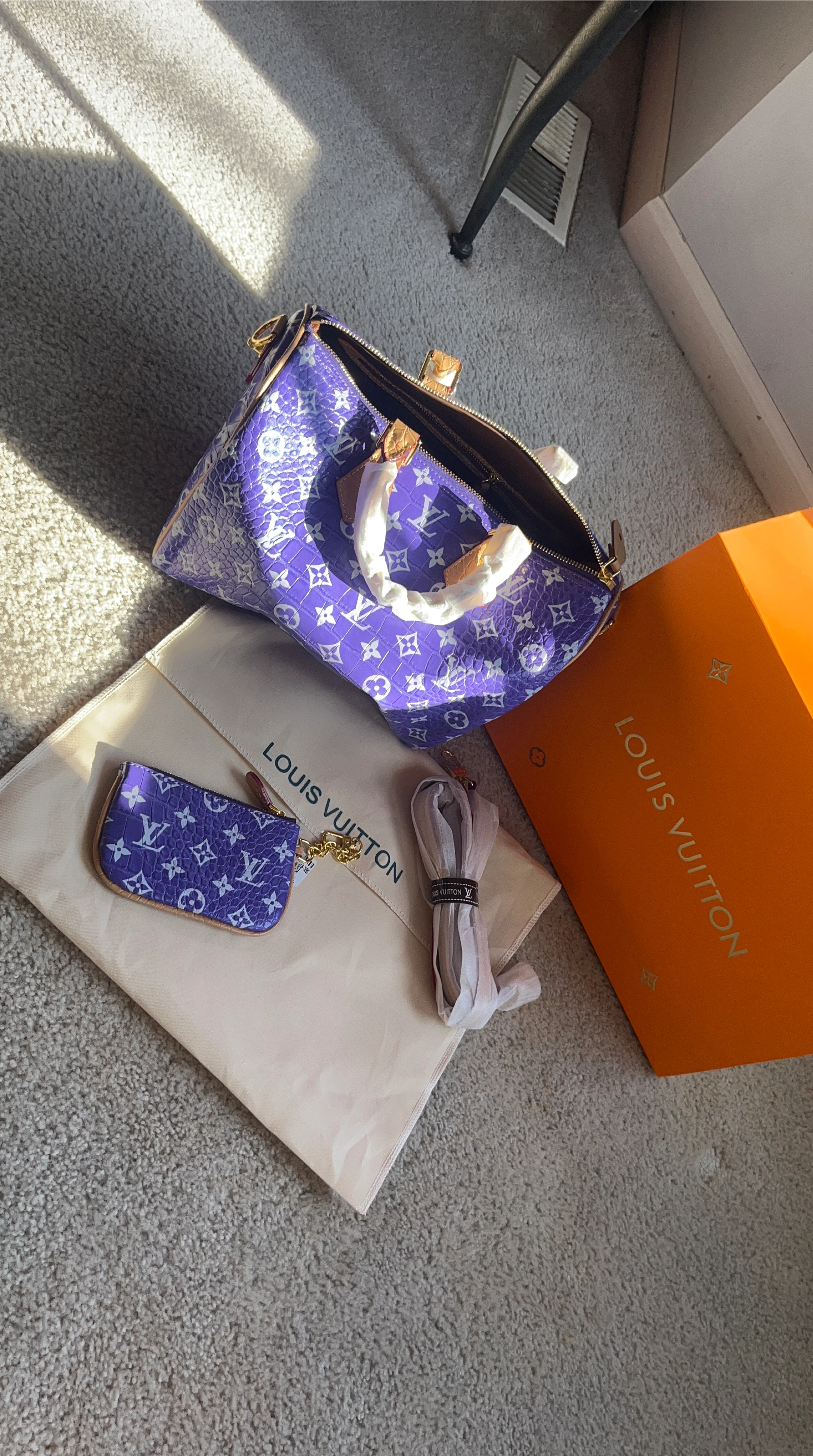 Louis Vuitton Speedy Bag with Pouch and Box
