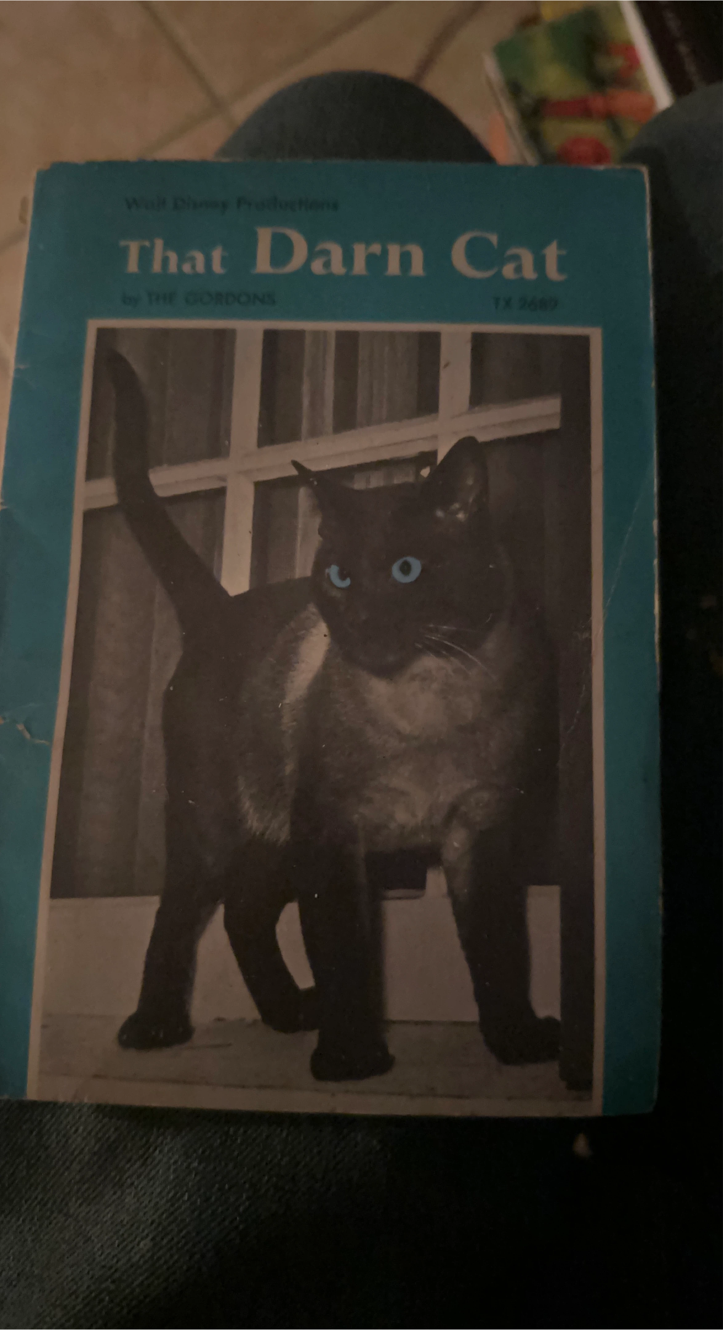 That Darn Cat Book by The Gordons