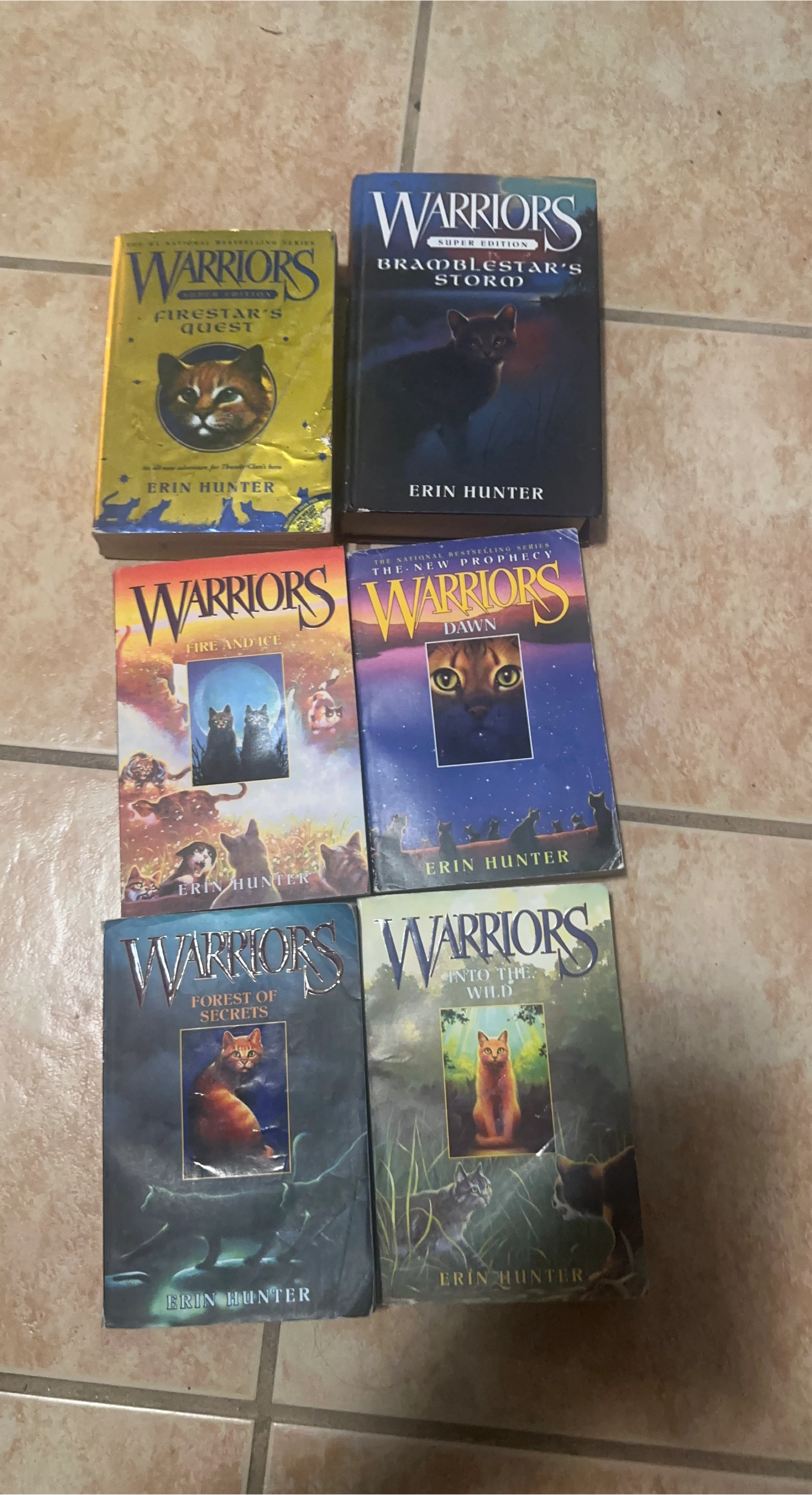 Warriors Books by Erin Hunter (Set of 6)