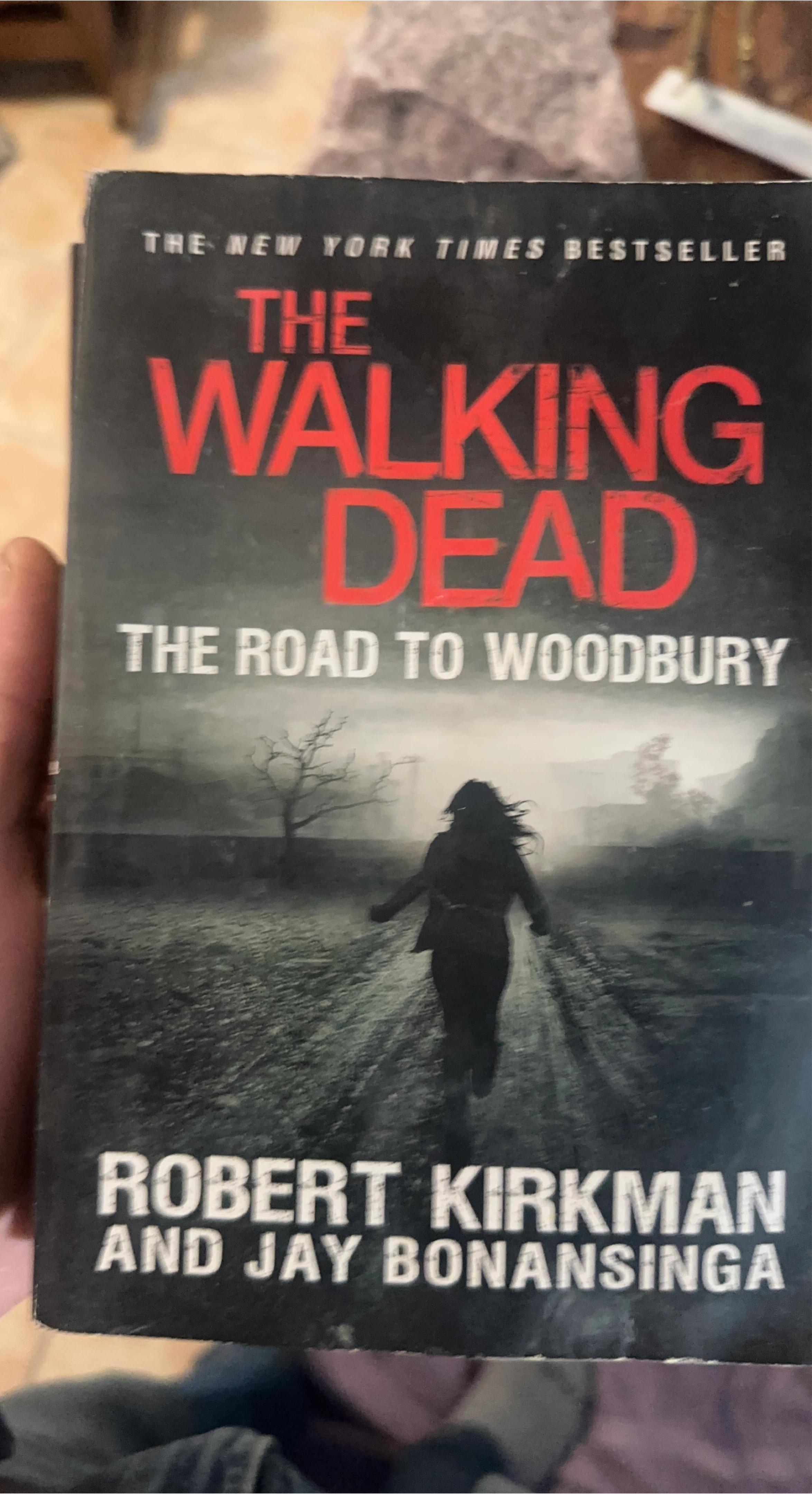 The Walking Dead: The Road to Woodbury Book by Robert Kirkman