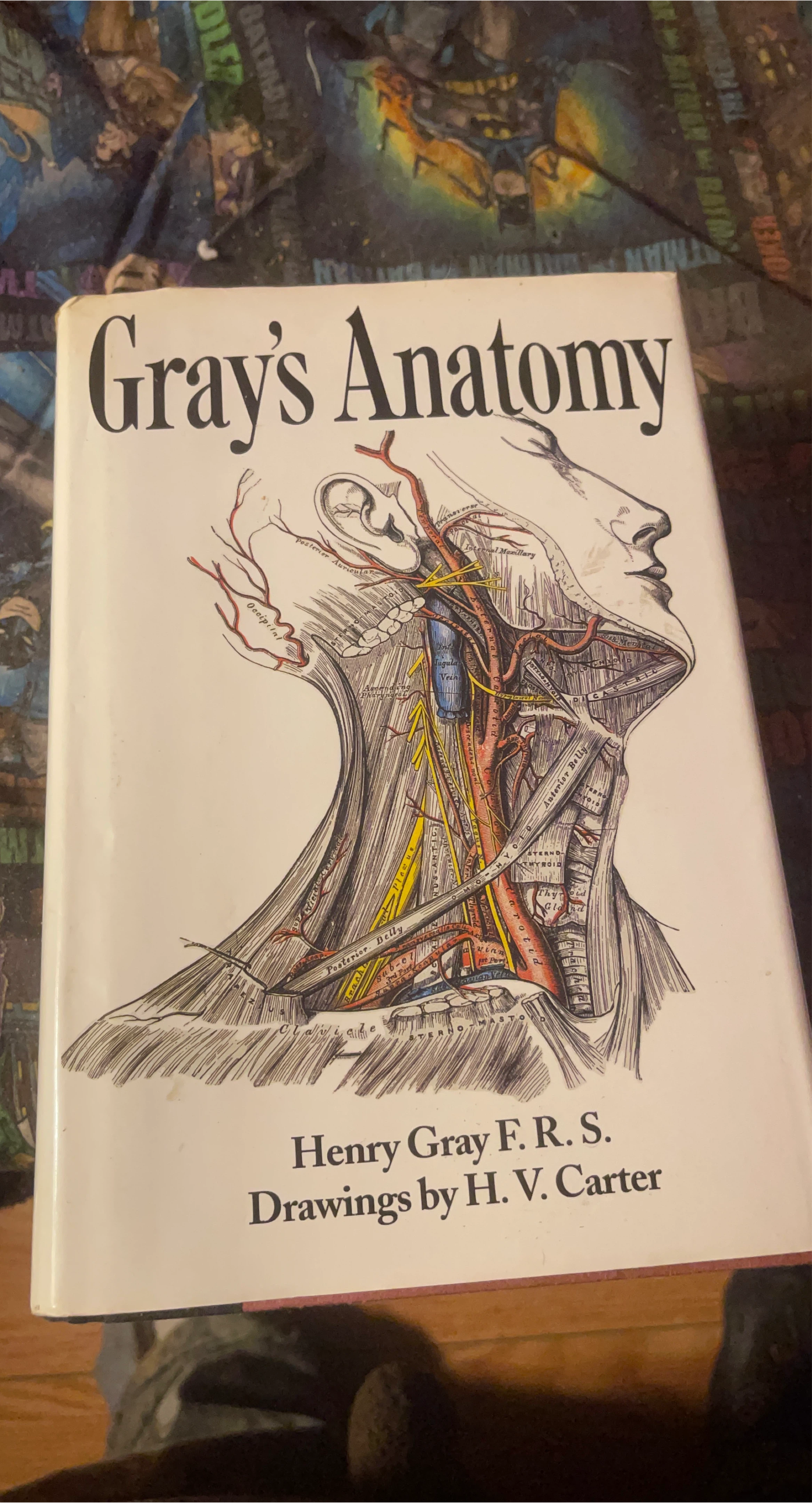 Gray's Anatomy Medical Reference Book