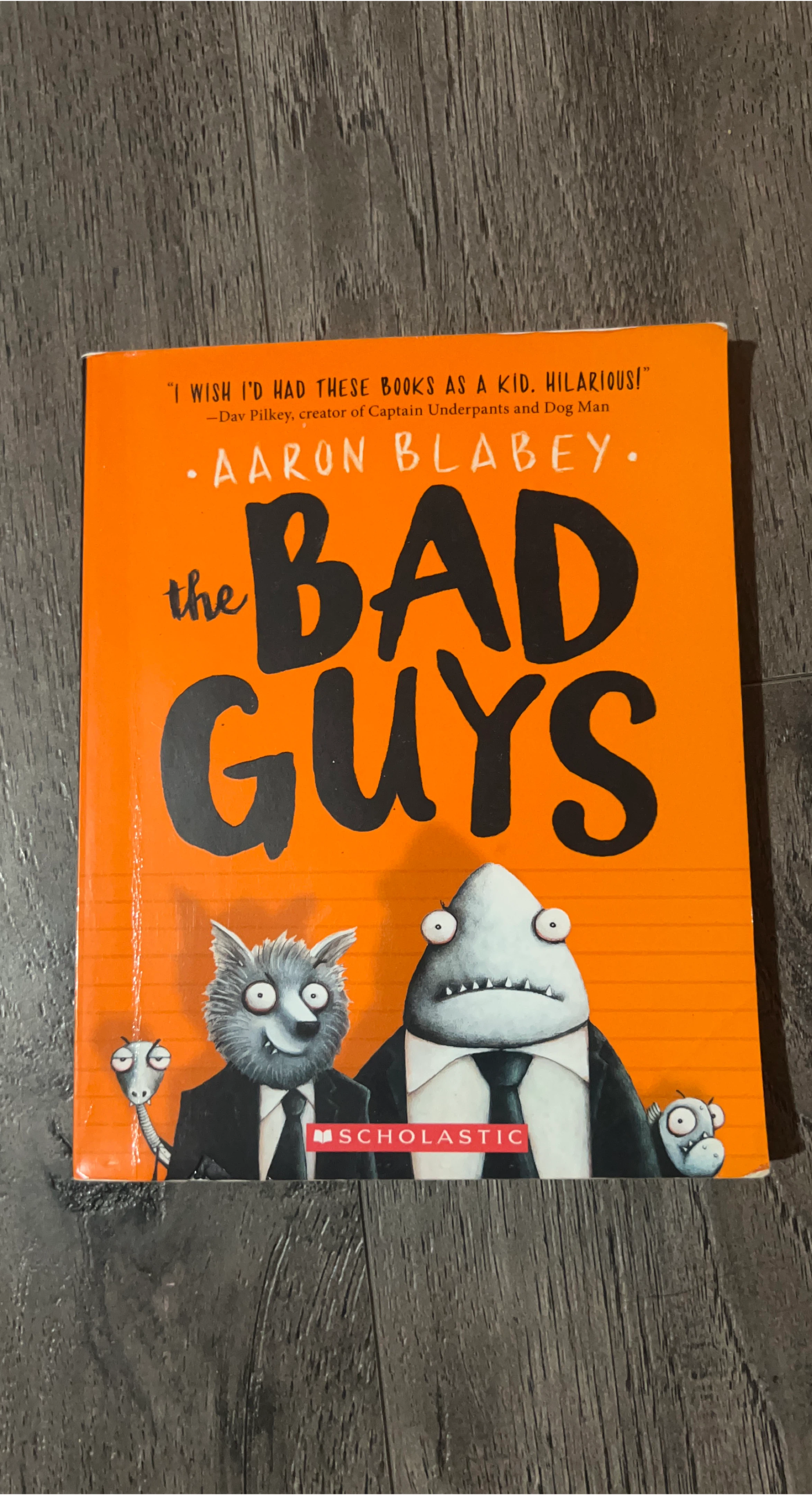 The Bad Guys Children's Book
