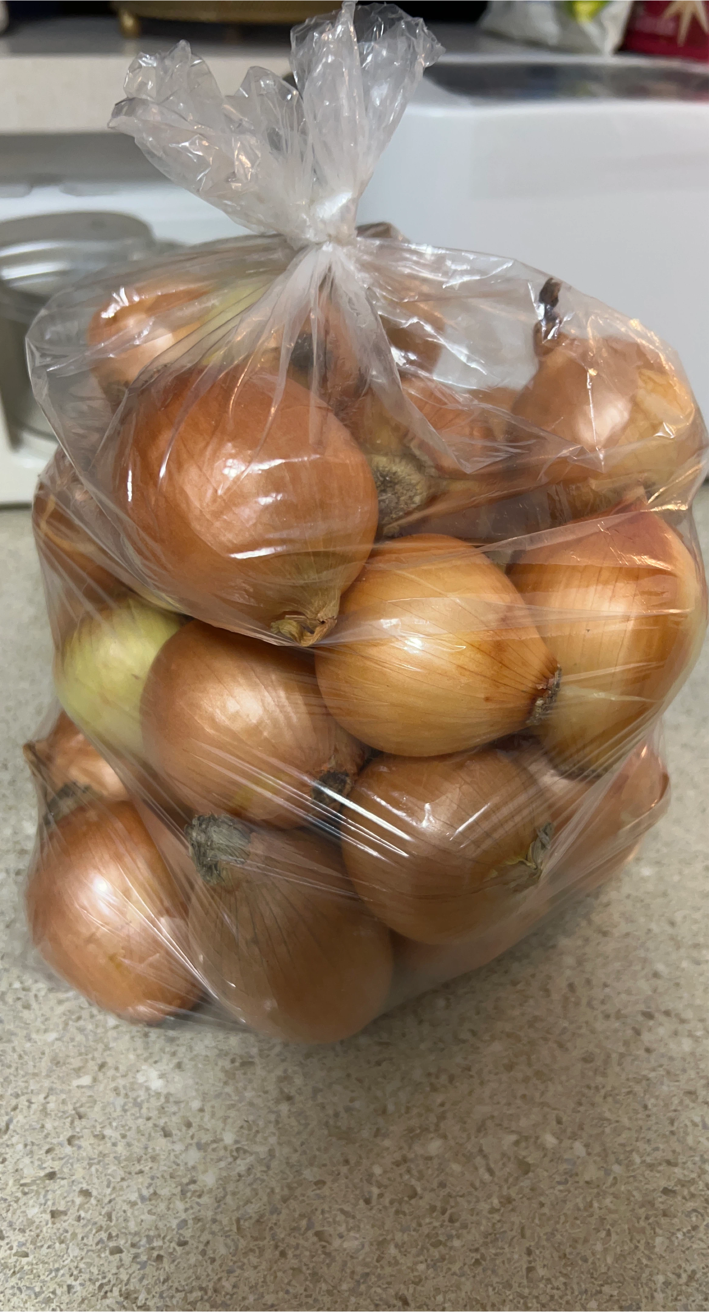 Bag of yellow onions