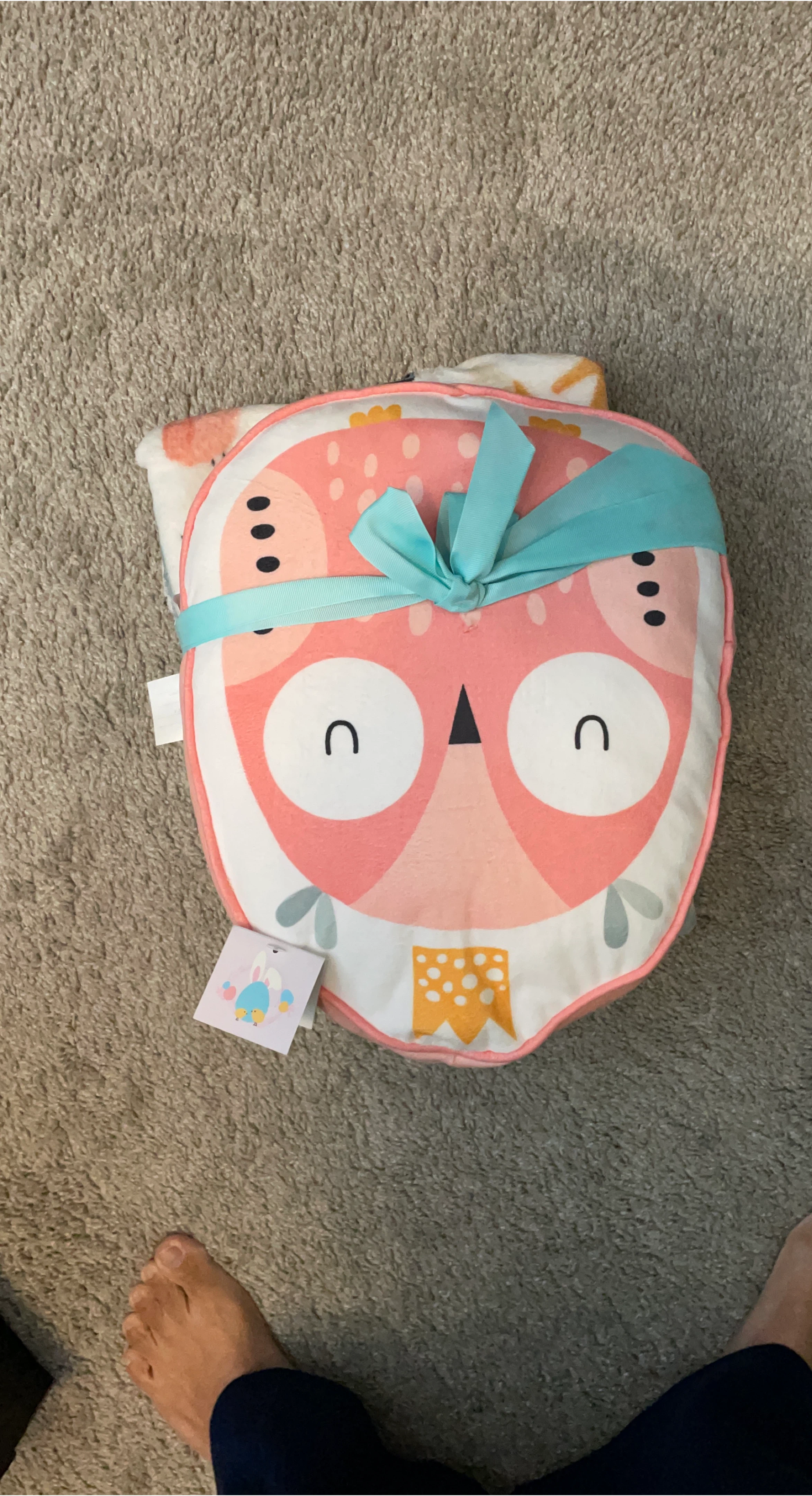 Cute Owl Plush Pillow with Blanket Set
