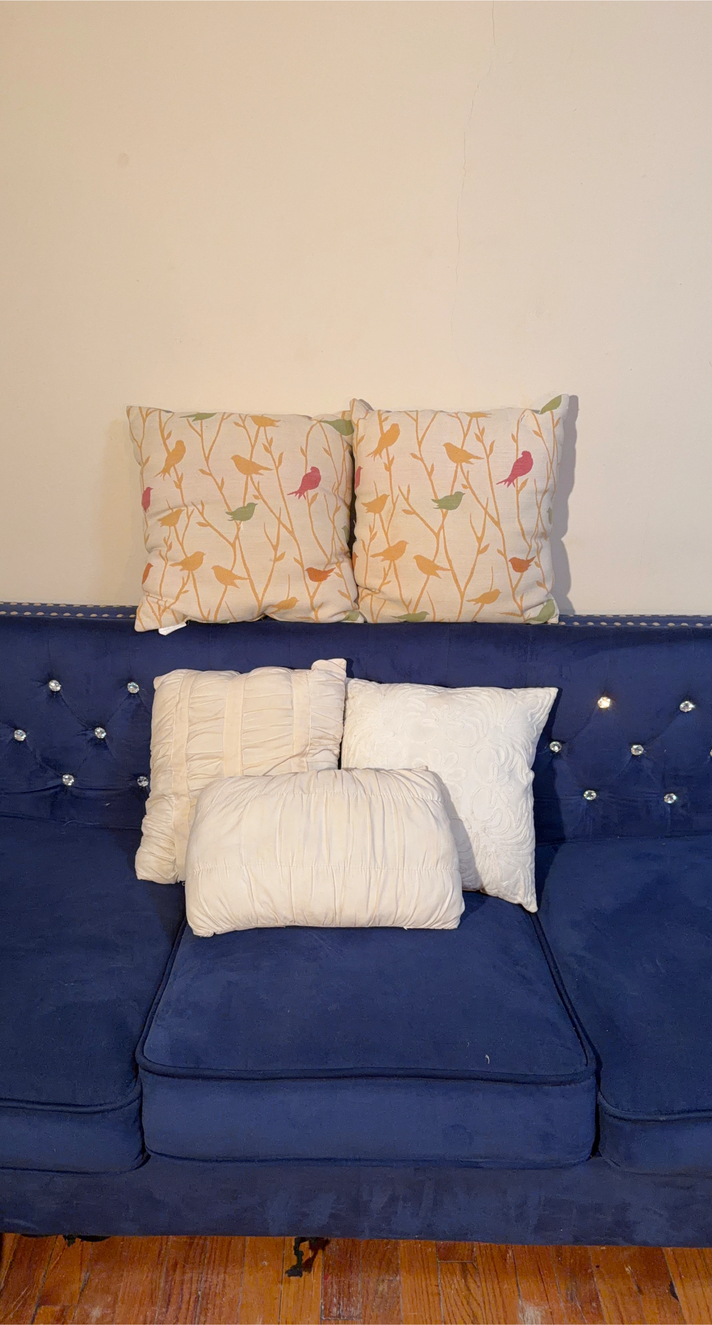 Set of 4 Decorative Throw Pillows