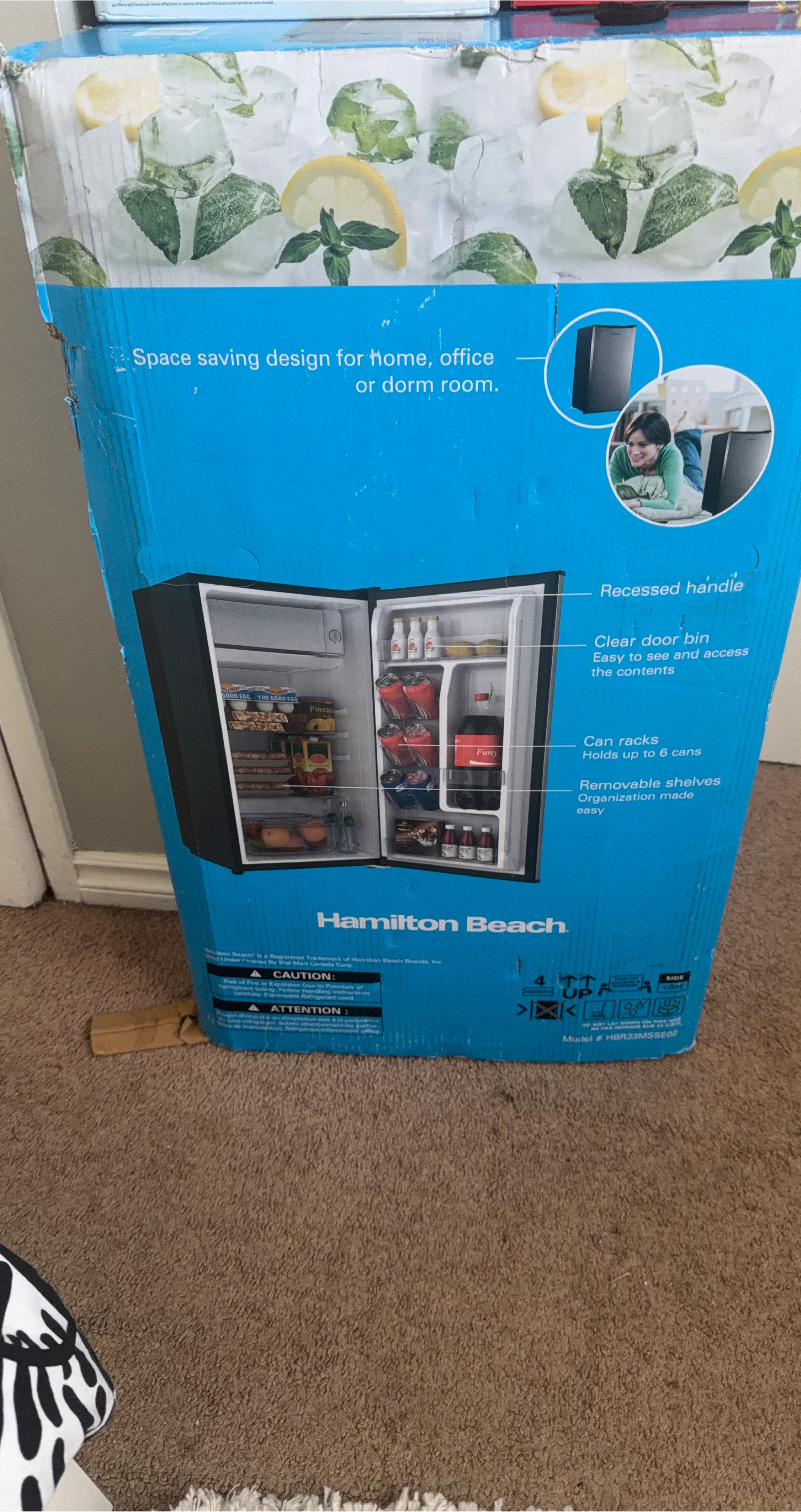 Hamilton Beach Mini Fridge