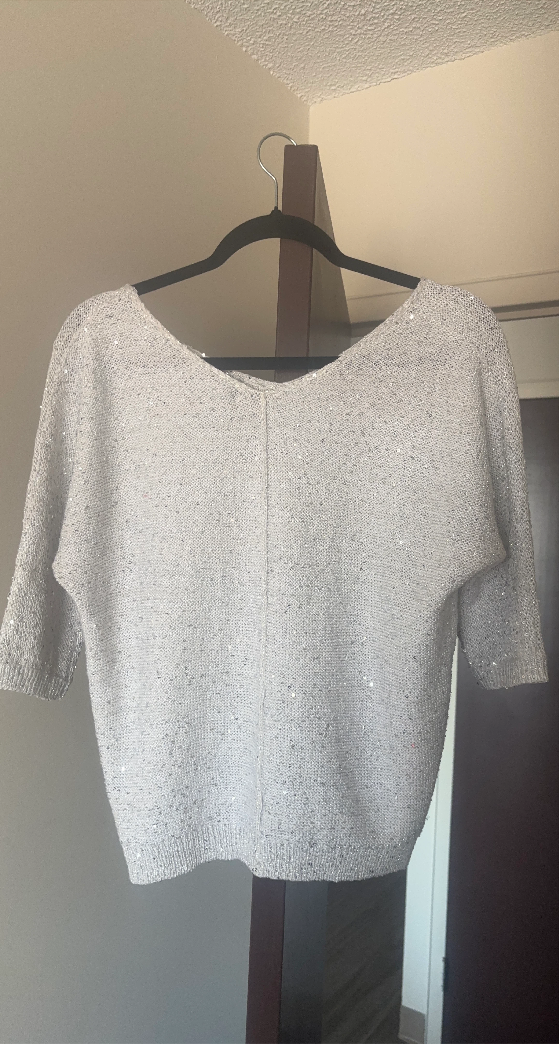 Sparkly Silver Knit Top