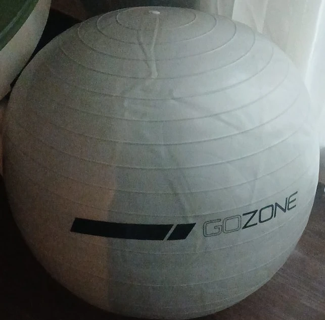 GOZONE Exercise Ball - Grey