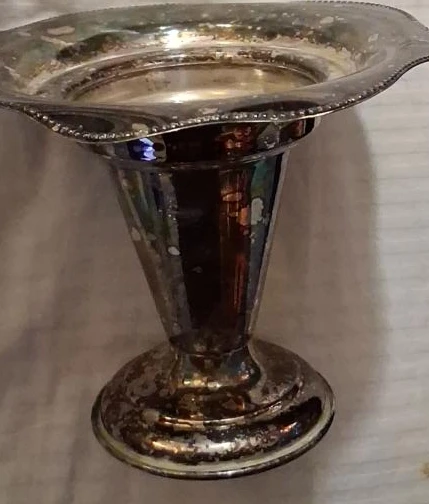 🥕 Vintage Silver Plated Vase