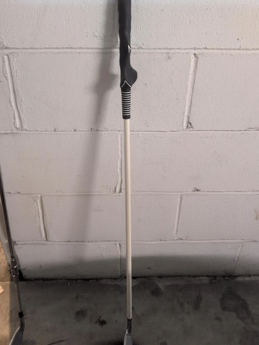 EAS Golf Clubs for training