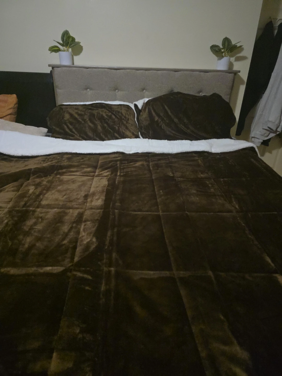Brown Bedding Set