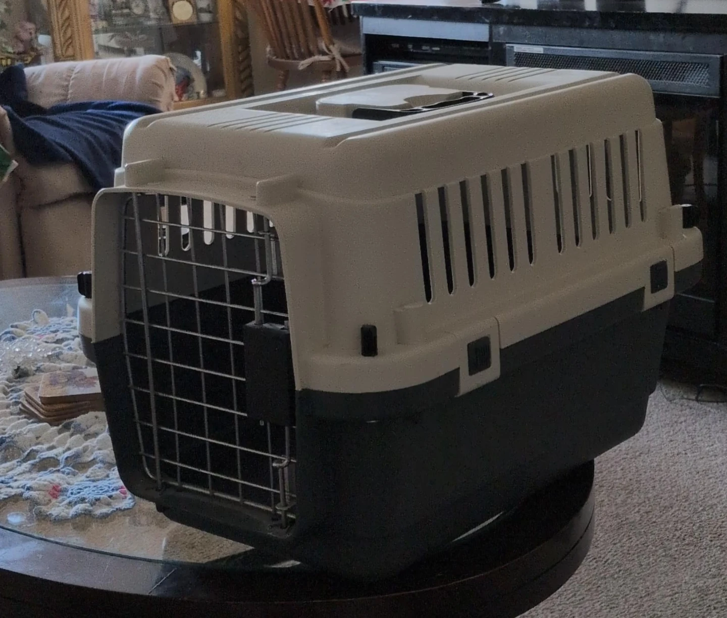 Pet Carrier