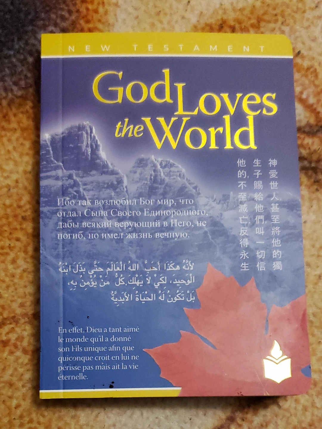 God Loves the World New Testament Book