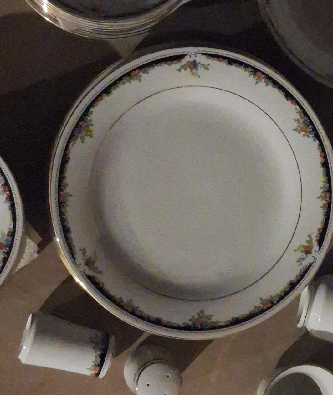 White China Dinner Plates with Floral Border
