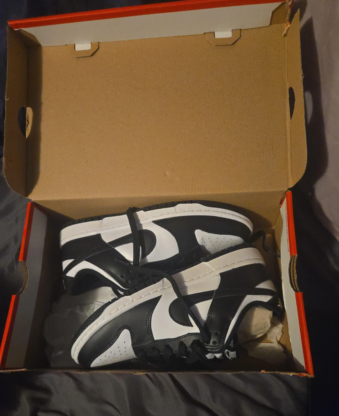 Nike Dunk Low (Black & White)