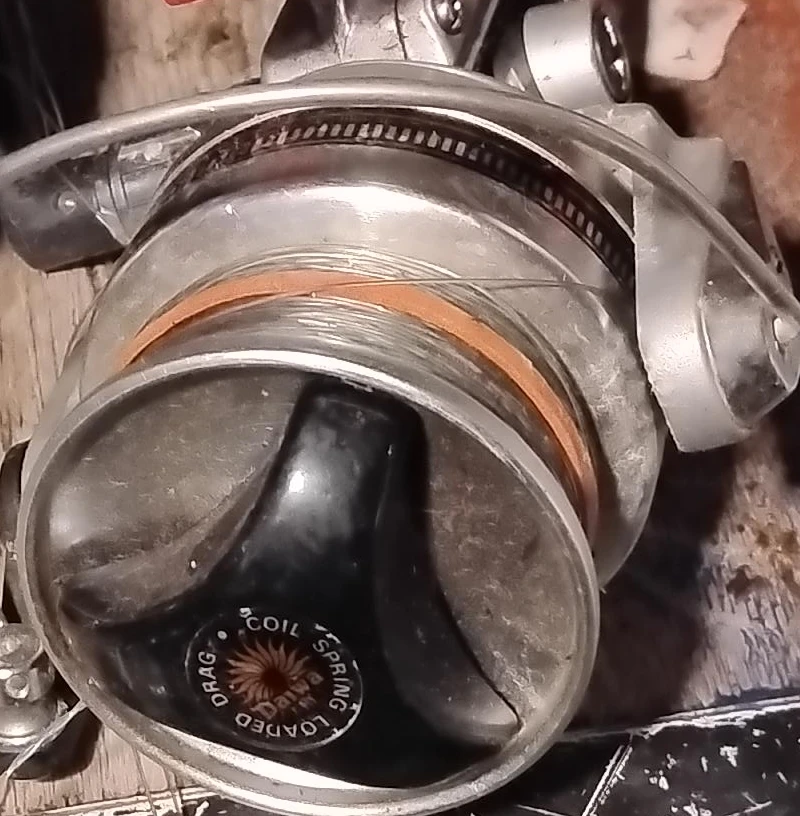 Daiwa Fishing Reel