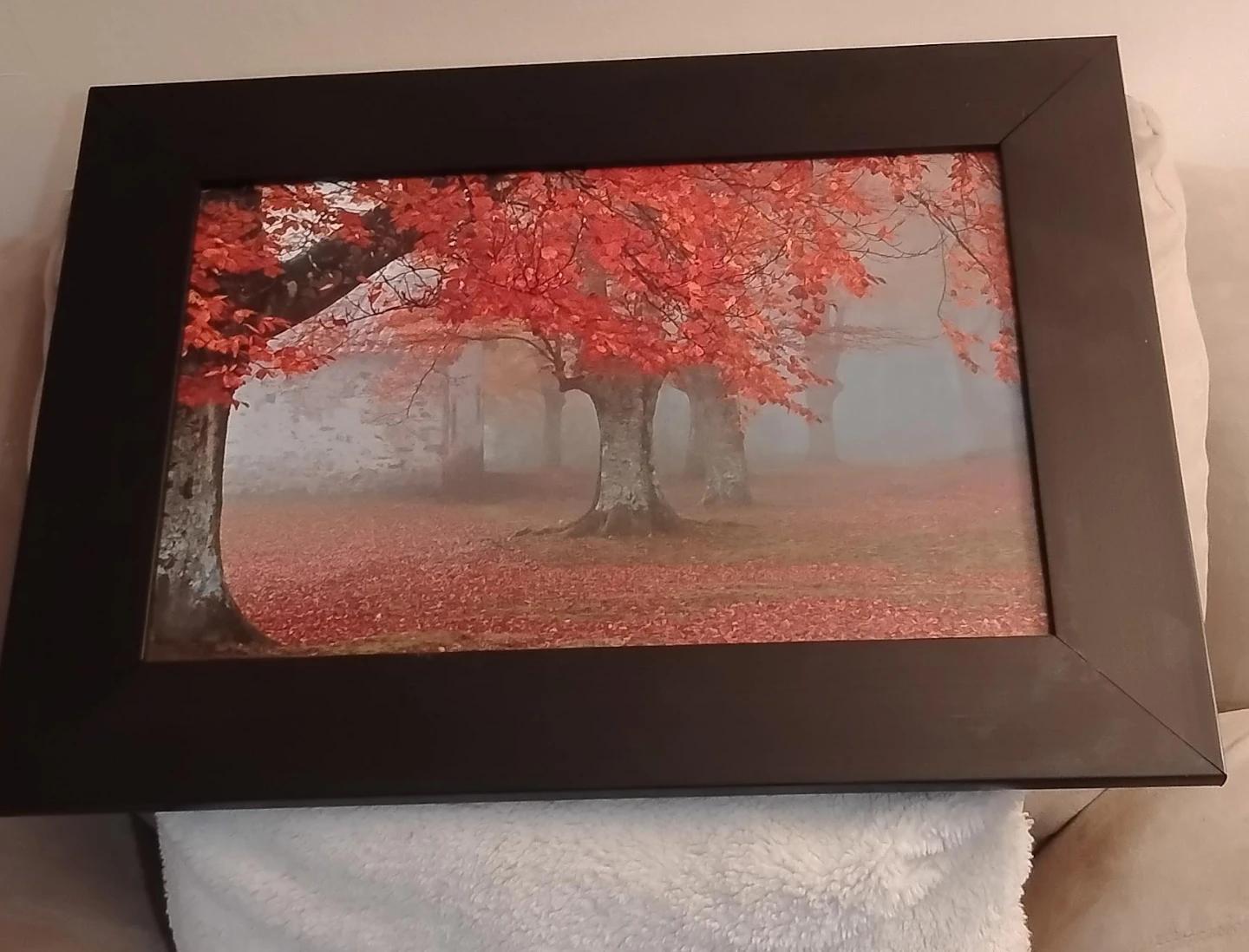 Framed Autumn Landscape Print
