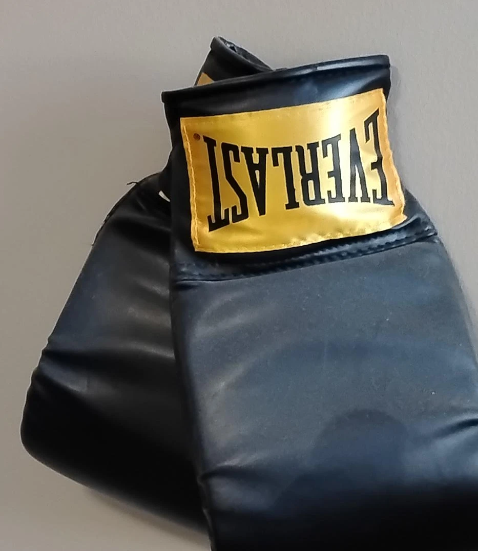 Everlast Boxing Gloves