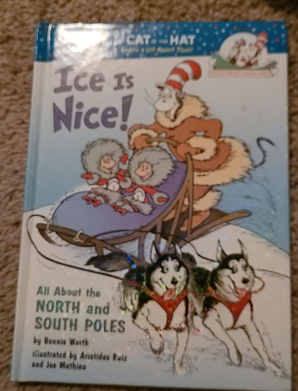 Ice Is Nice! by Bonnie Worth