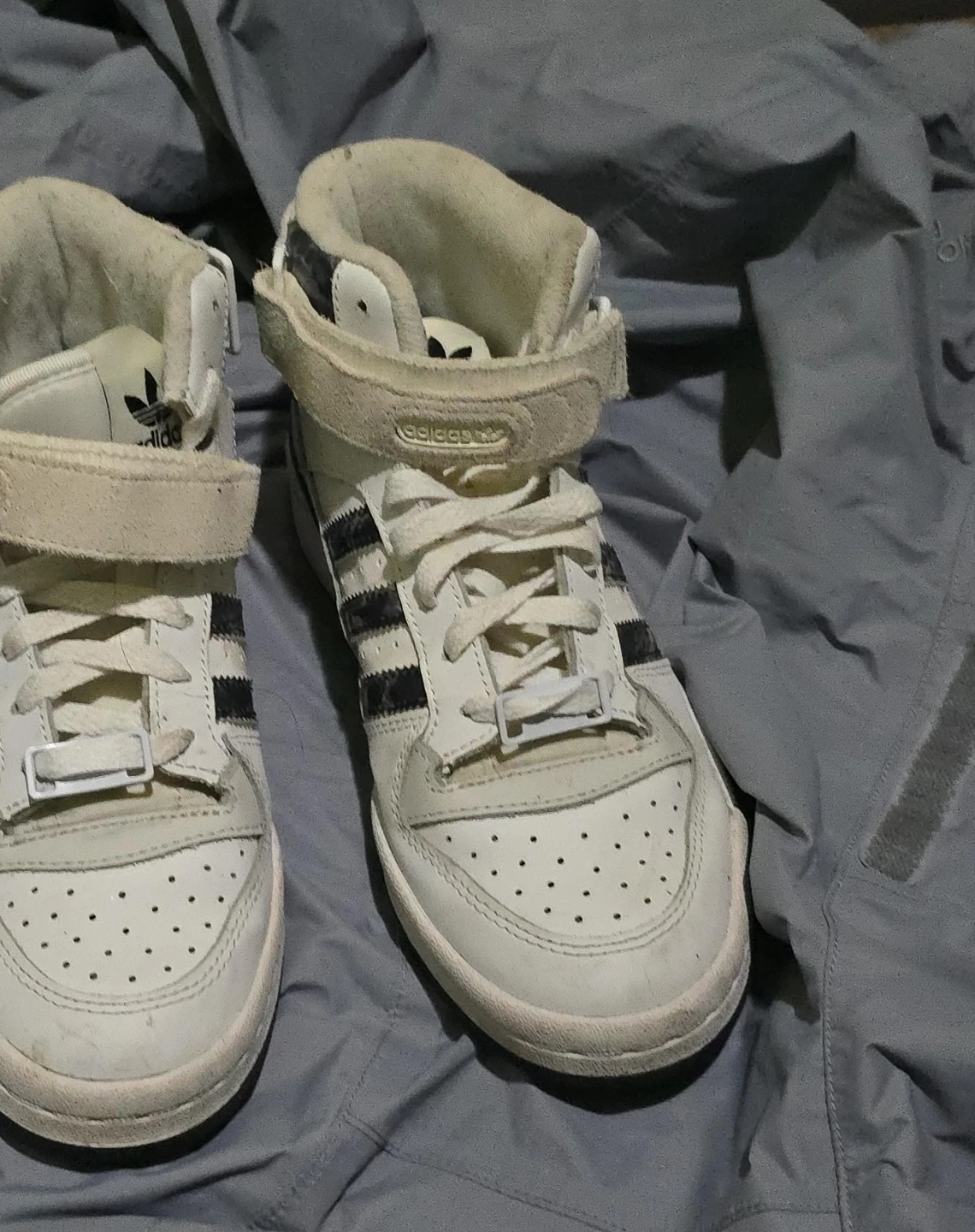 Adidas Forum High Top Sneakers