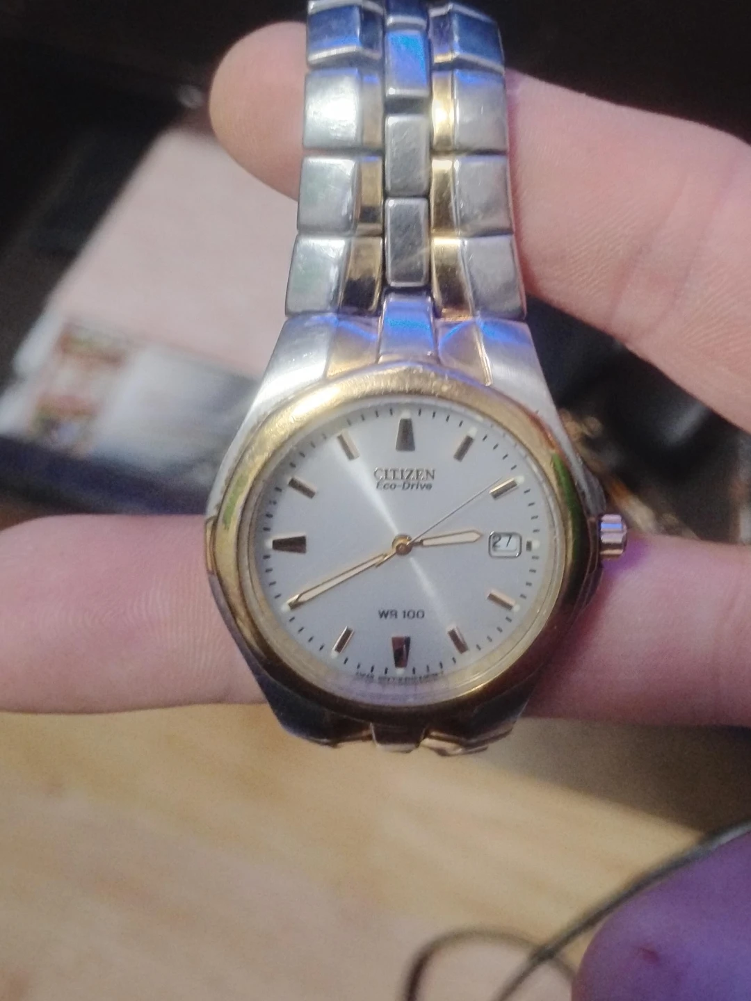 Citizen Eco-Drive WR 100 Watch