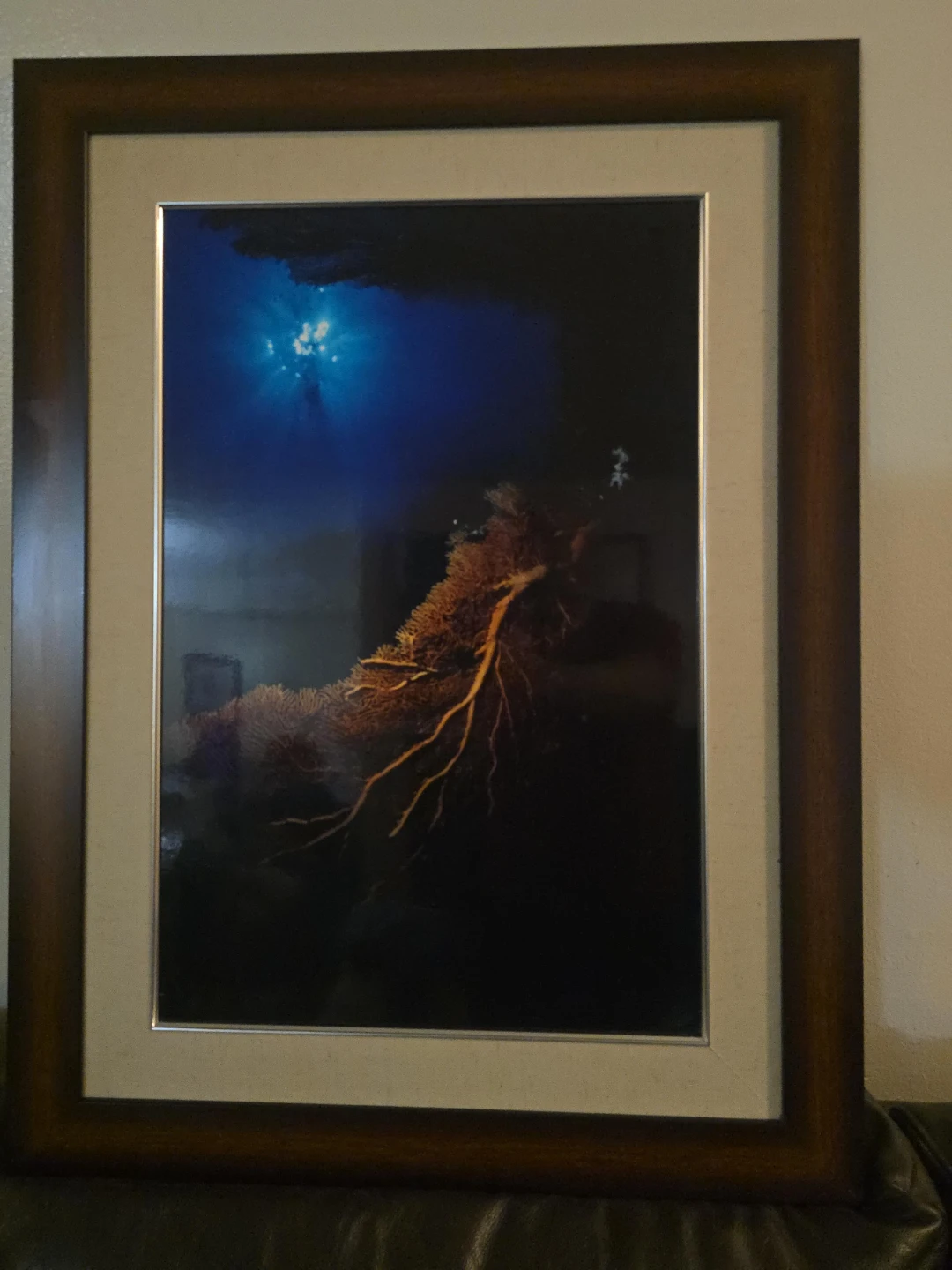 Framed Underwater Photo Print