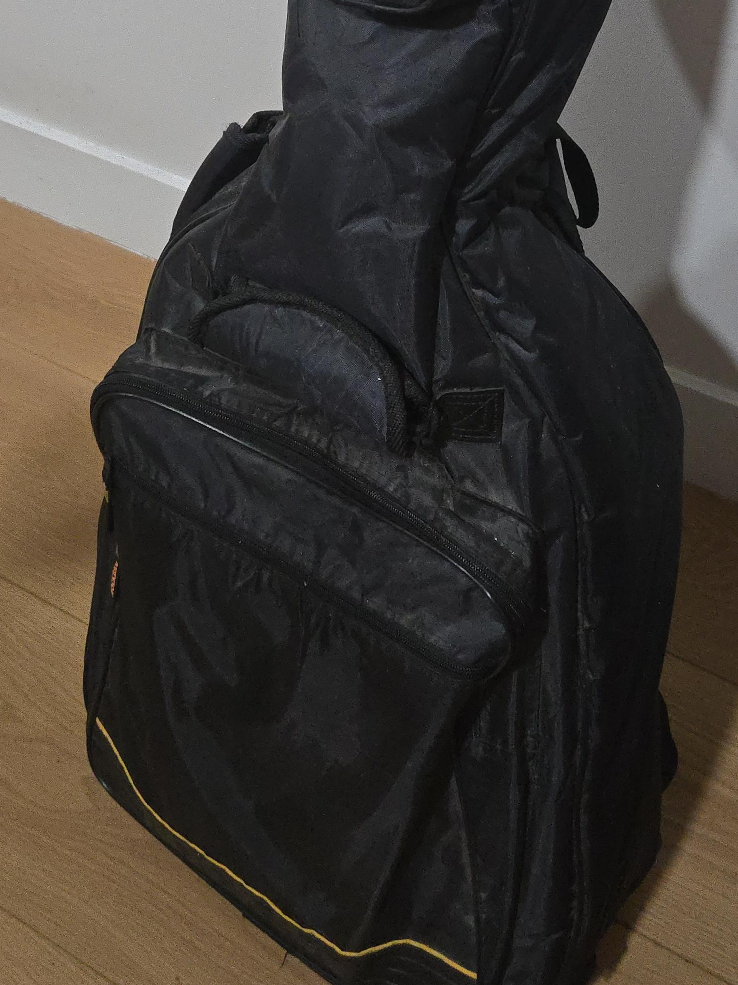🥕Black Guitar Case