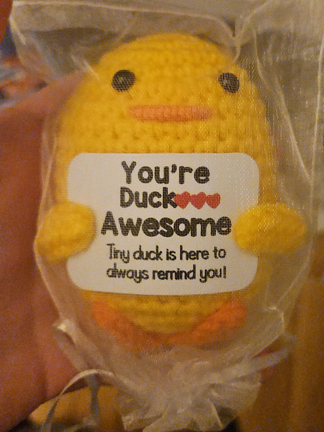 You're Duck Awesome Tiny Duck