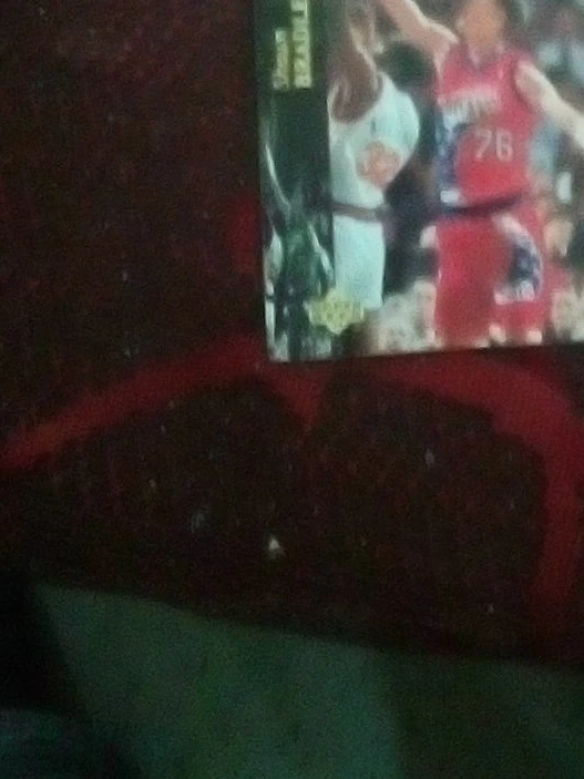 1993-94 Upper Deck Shawn Bradley Basketball Card